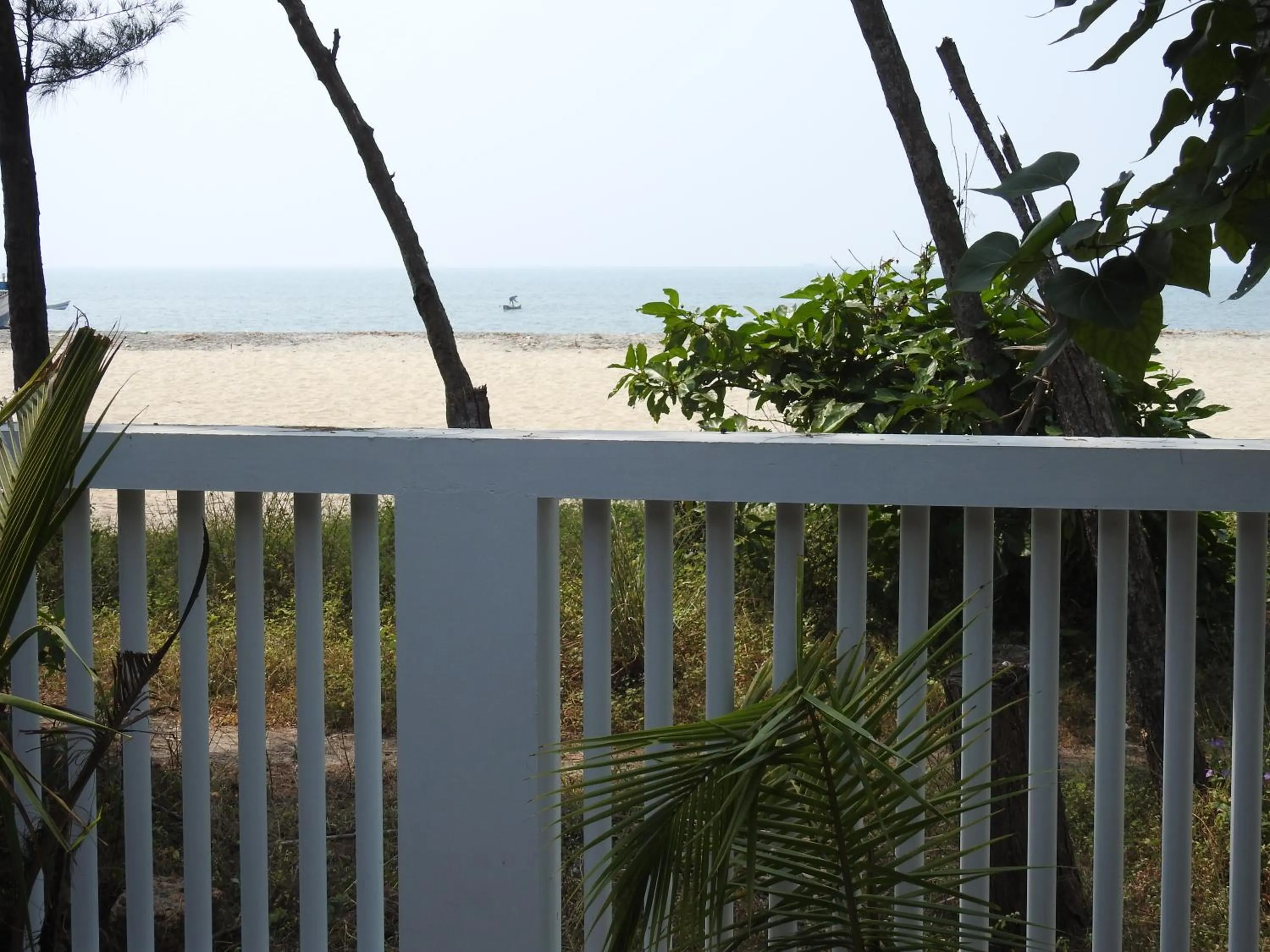 Alleppey Beach Garden