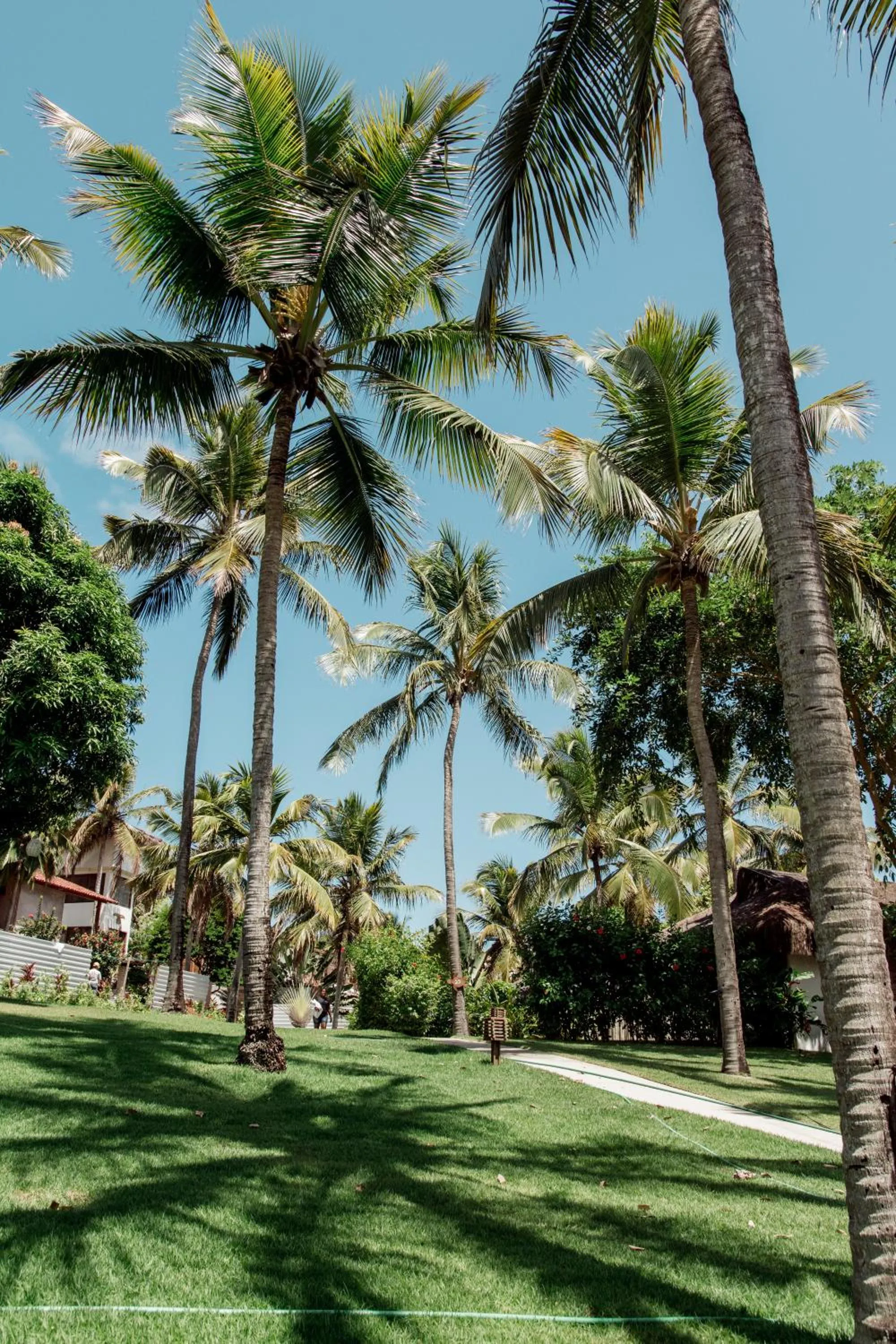 Natural landscape in Madeiro Beach Hotel
