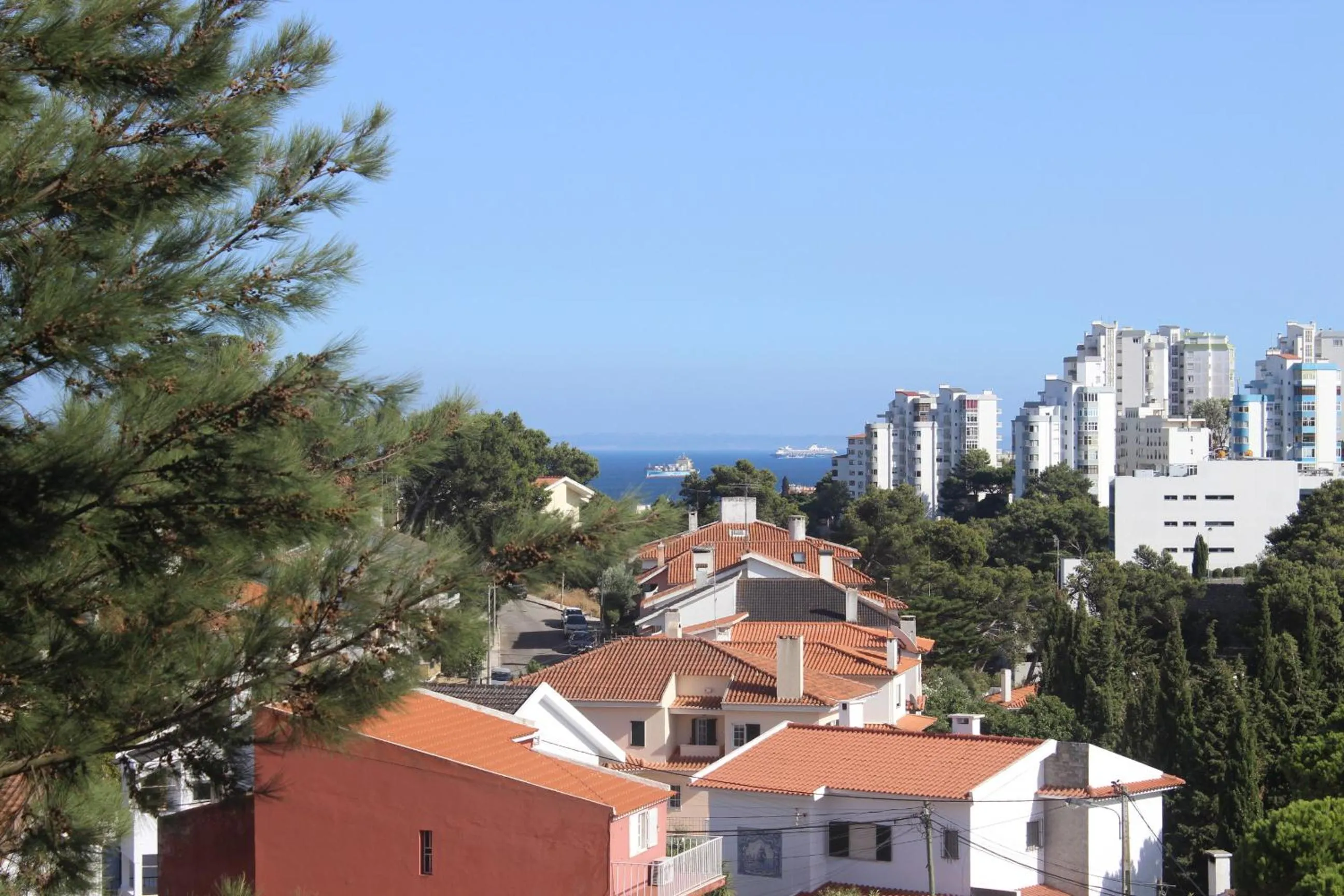 Day in Cascais Jasmim Doce