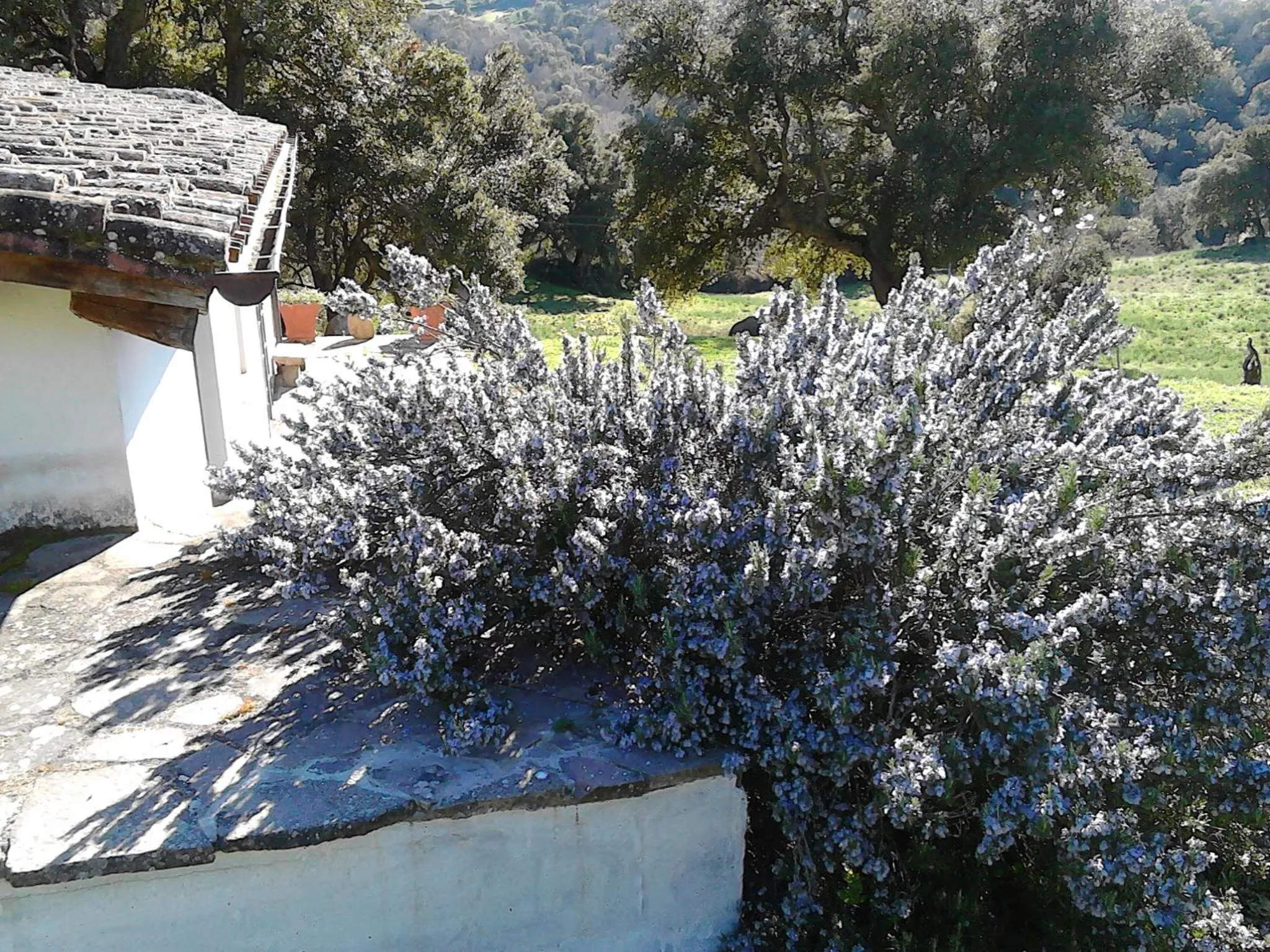 Spring in B&B I Menhir