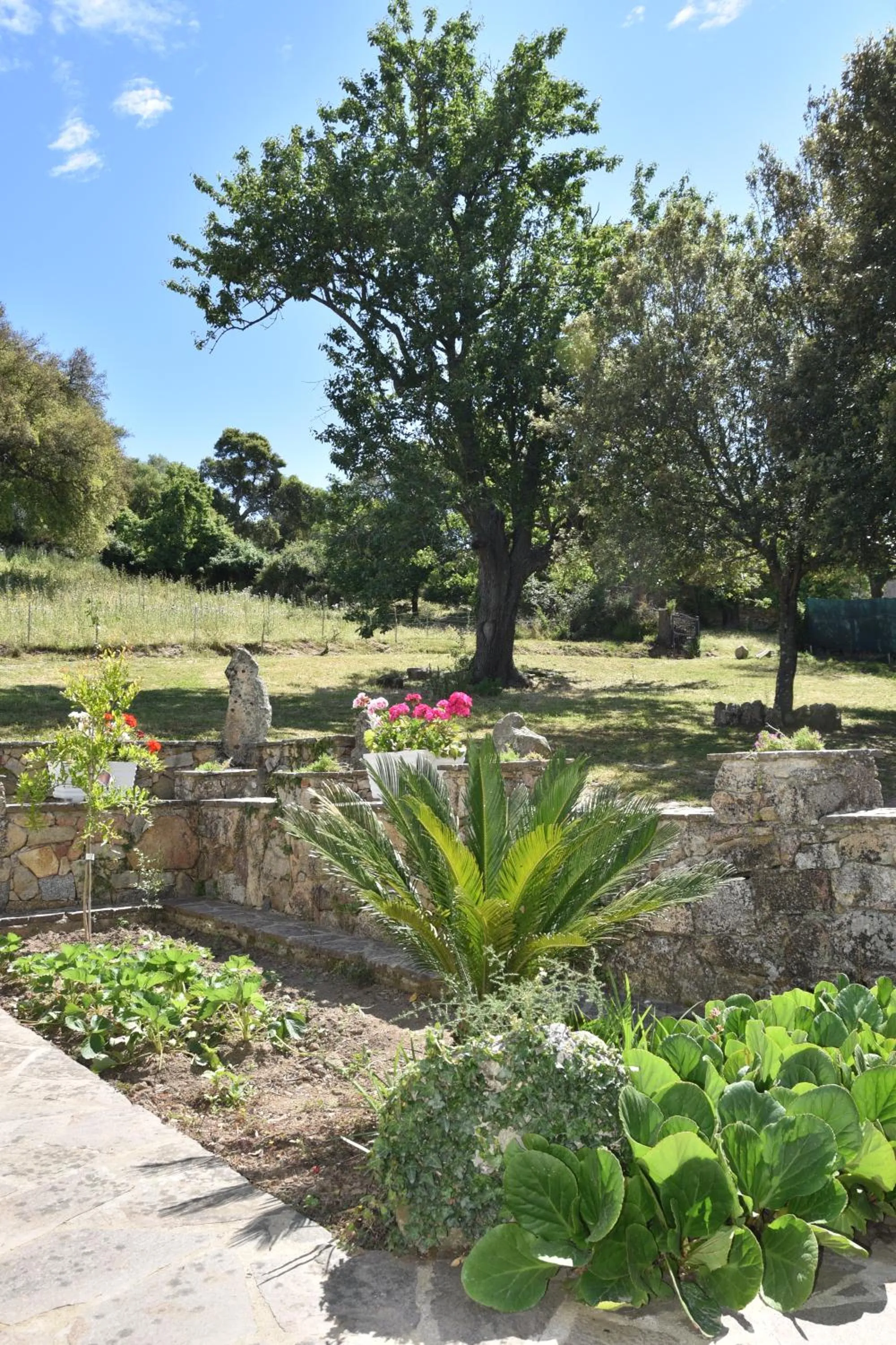 Garden in B&B I Menhir