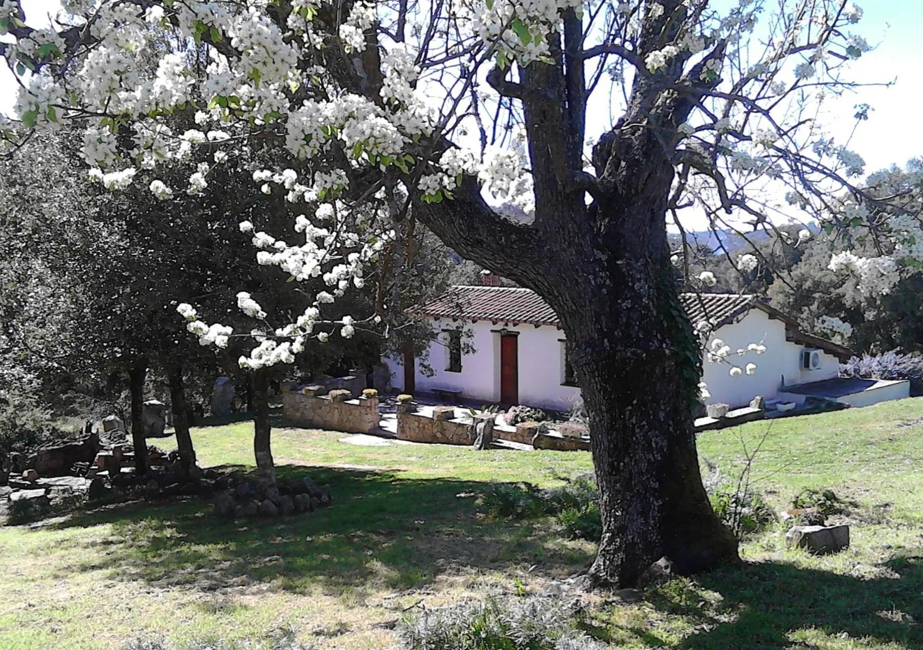 Spring in B&B I Menhir