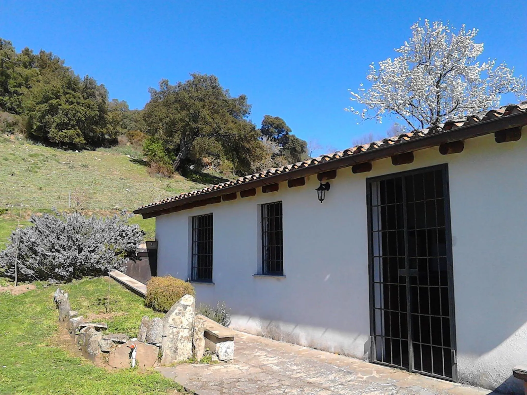 Spring in B&B I Menhir