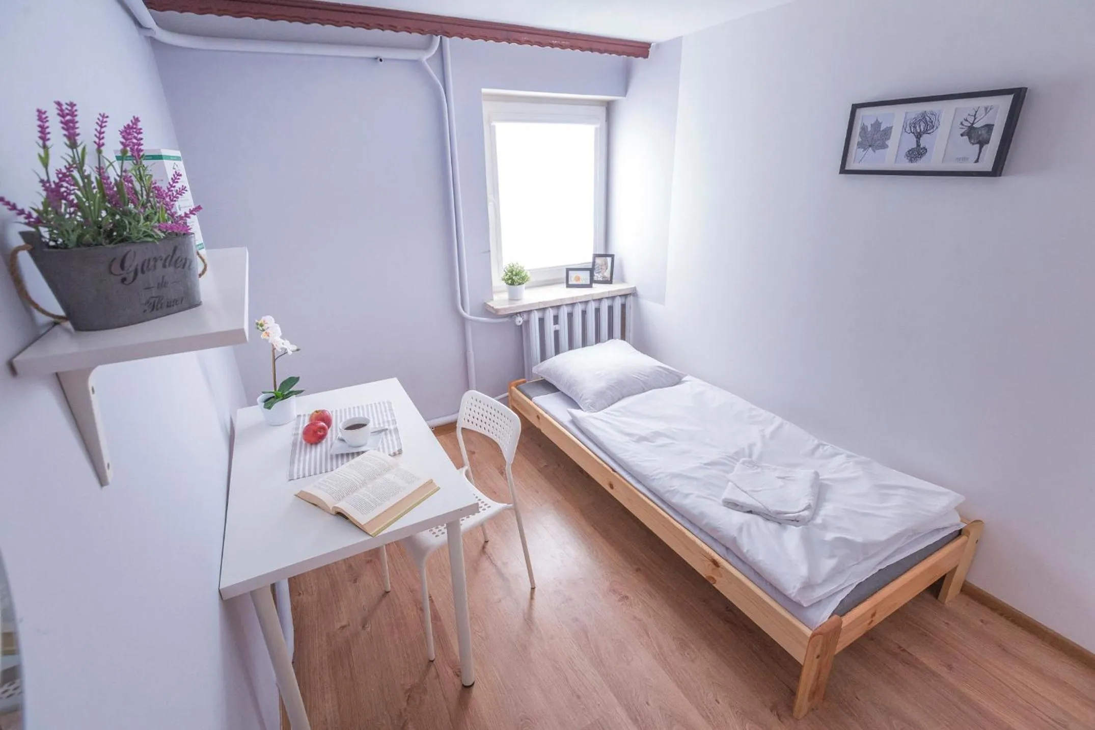 Photo of the whole room, Bed in Kujawska Rooms