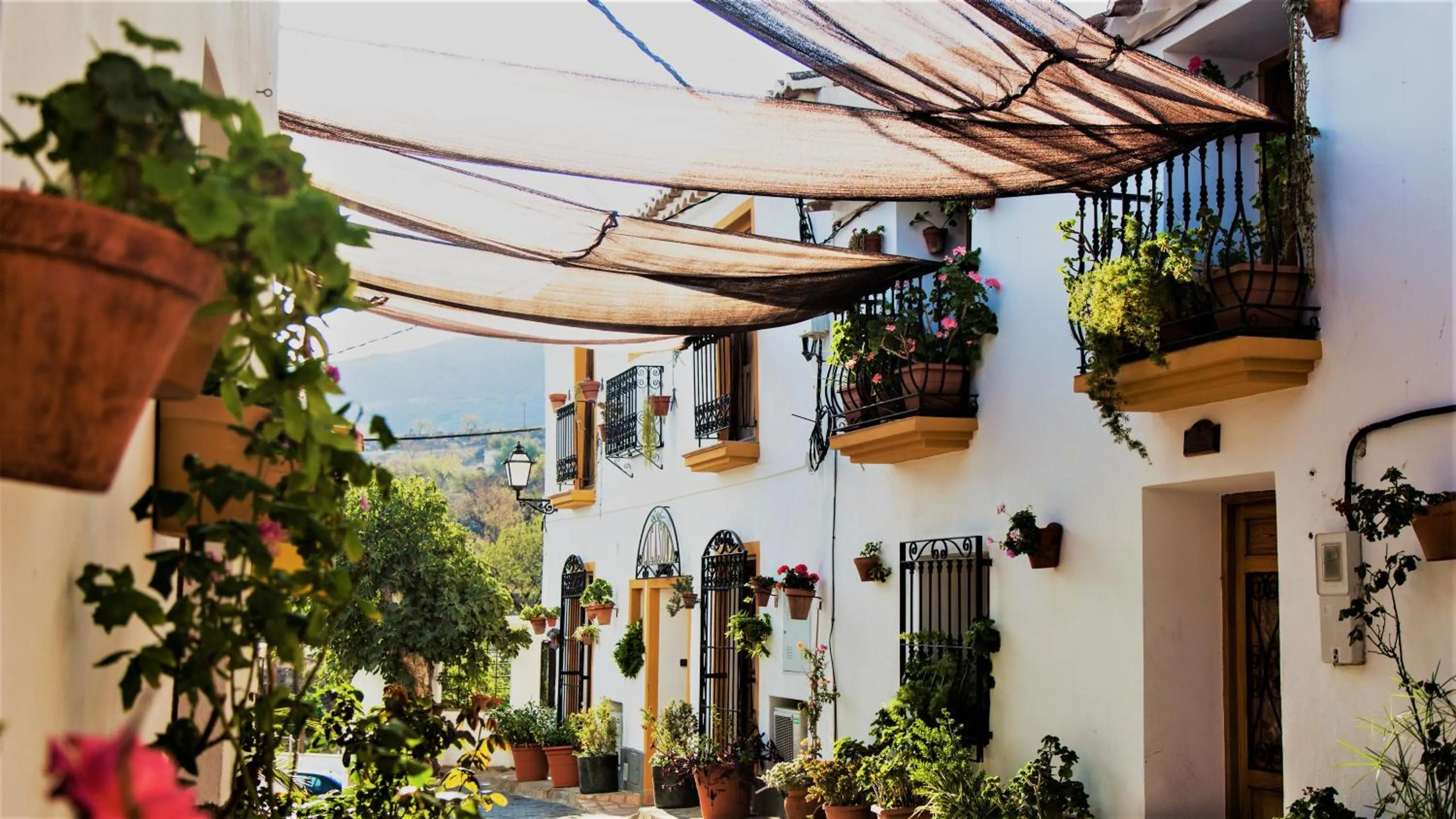 Facade/entrance in Casona Granado
