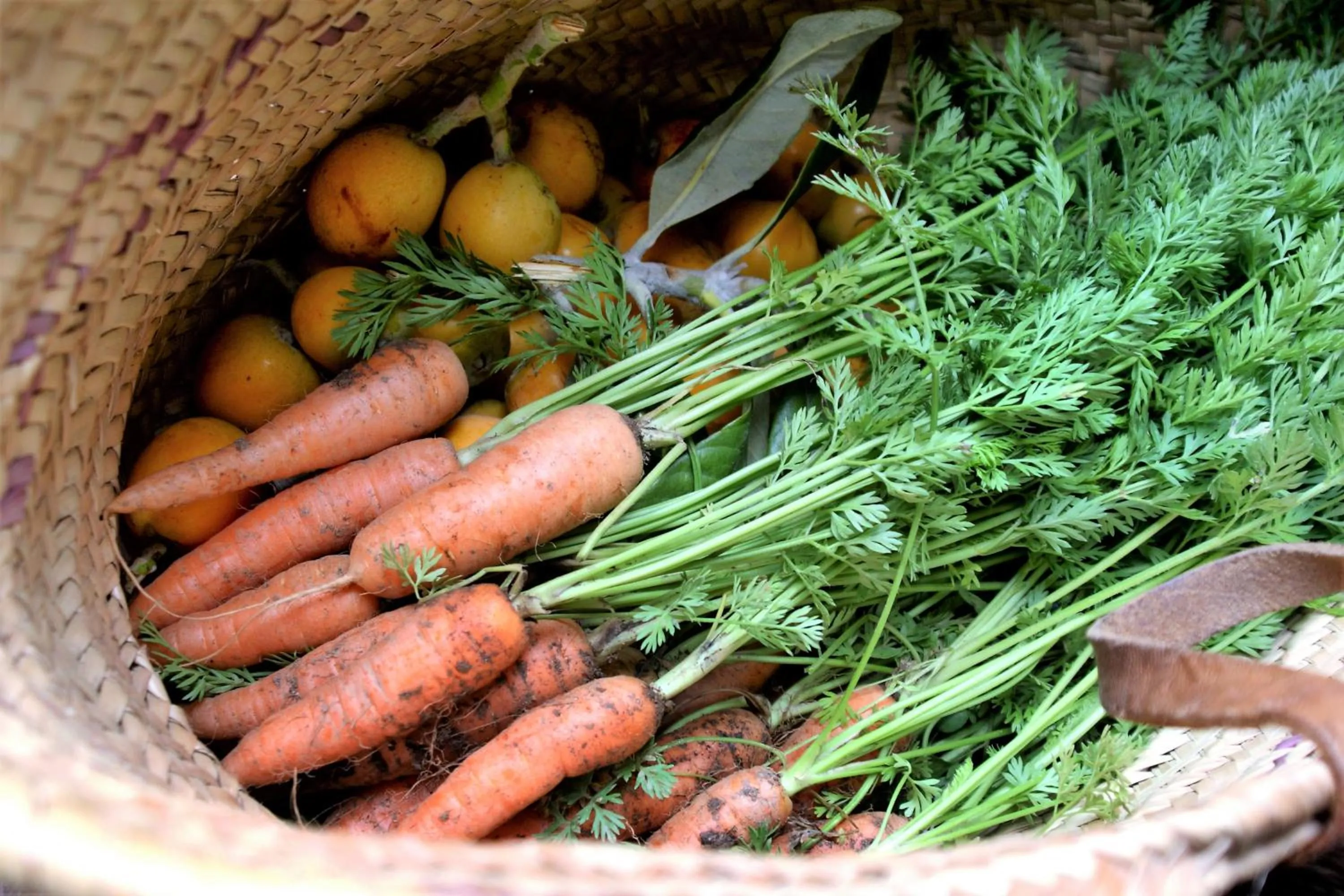Food and drinks in Casona Granado