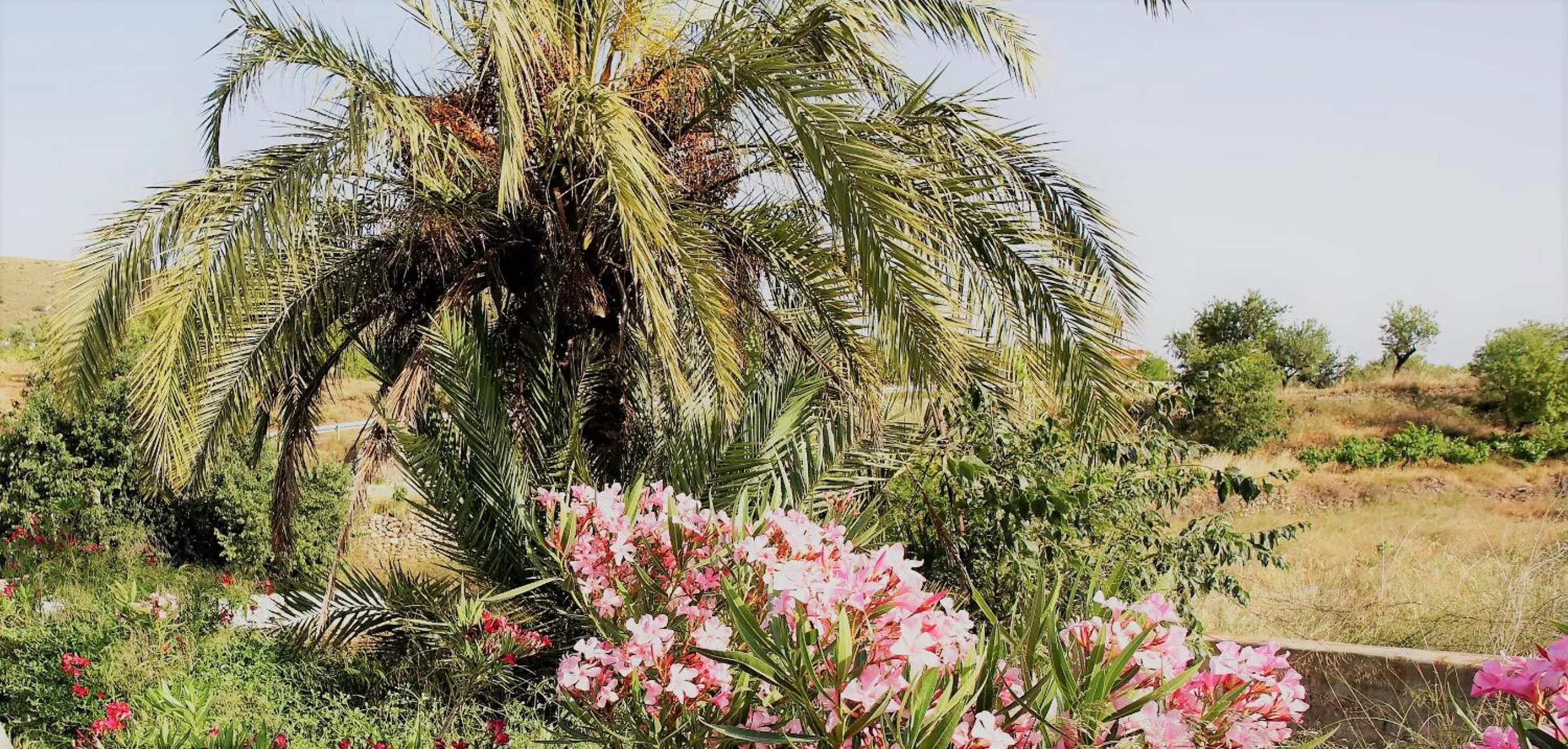 Natural landscape in Casona Granado
