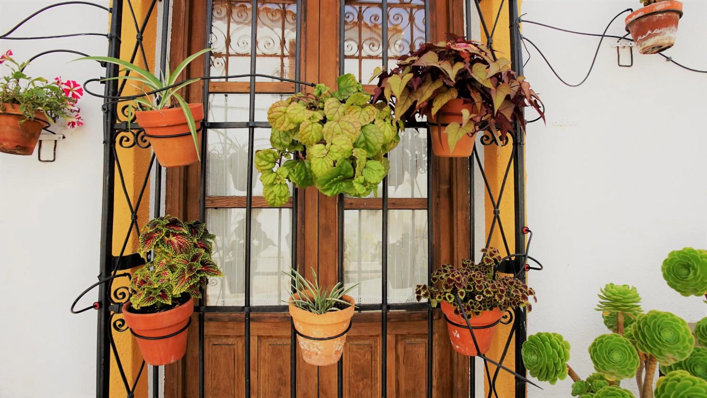 Patio in Casona Granado