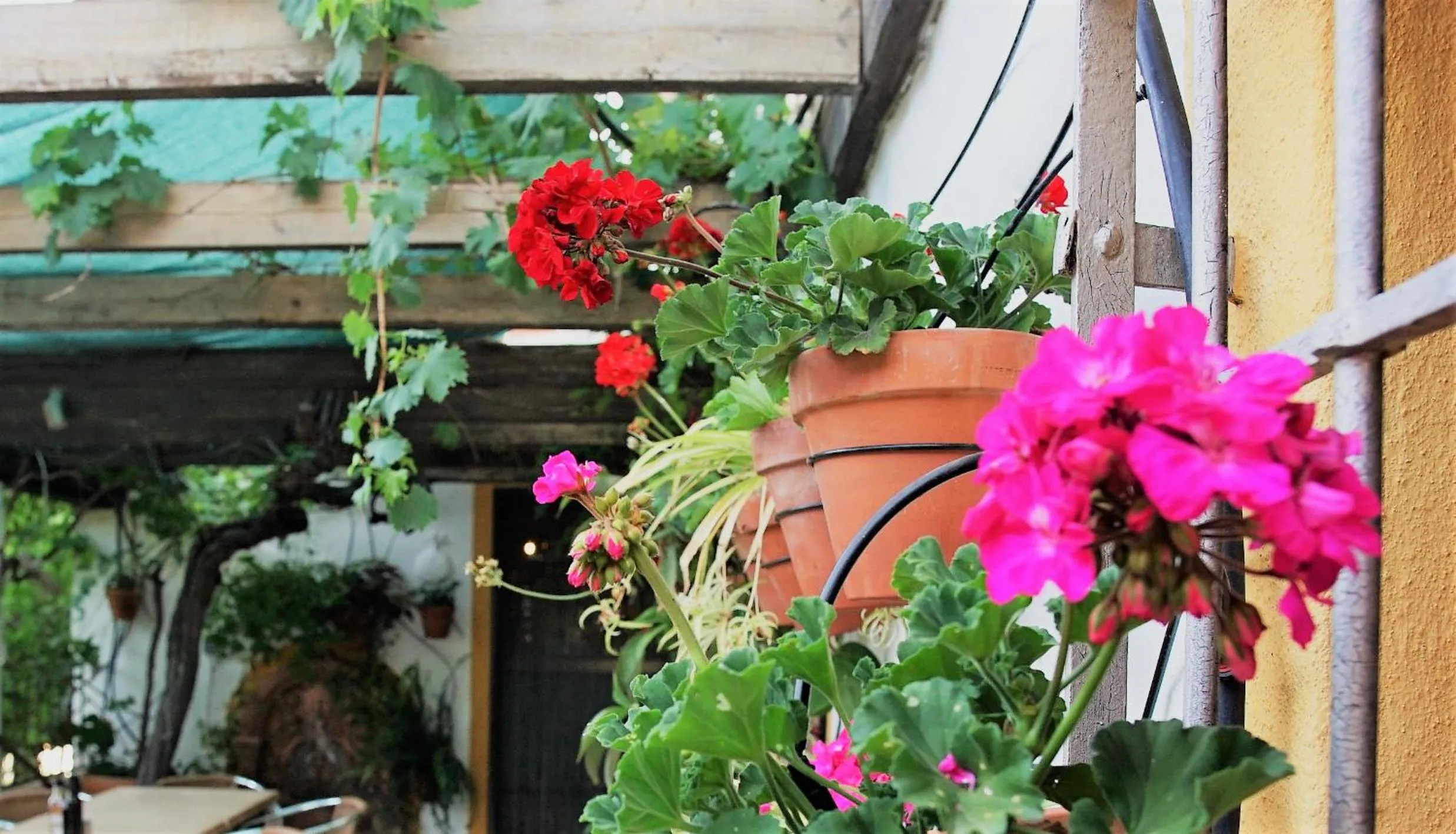 Patio in Casona Granado