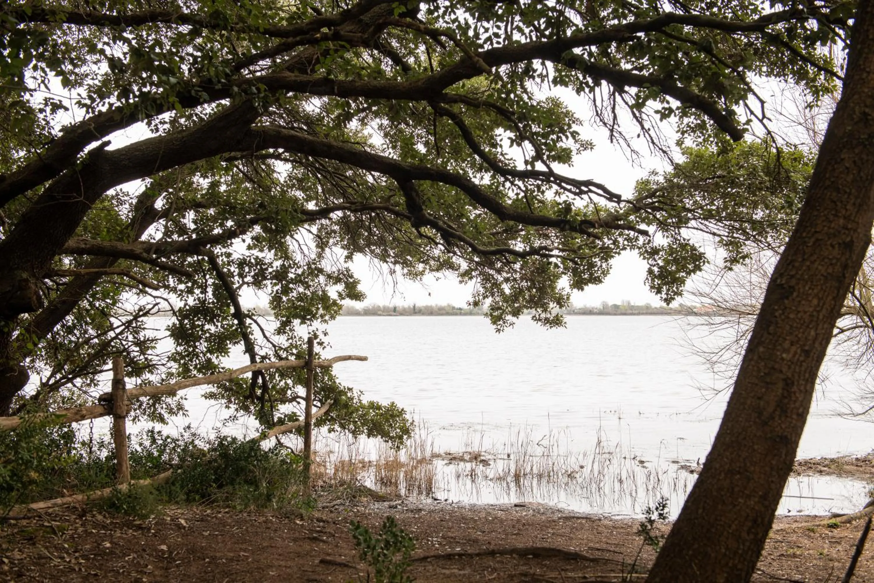 Natural landscape in Savoy Beach Hotel & Thermal Spa