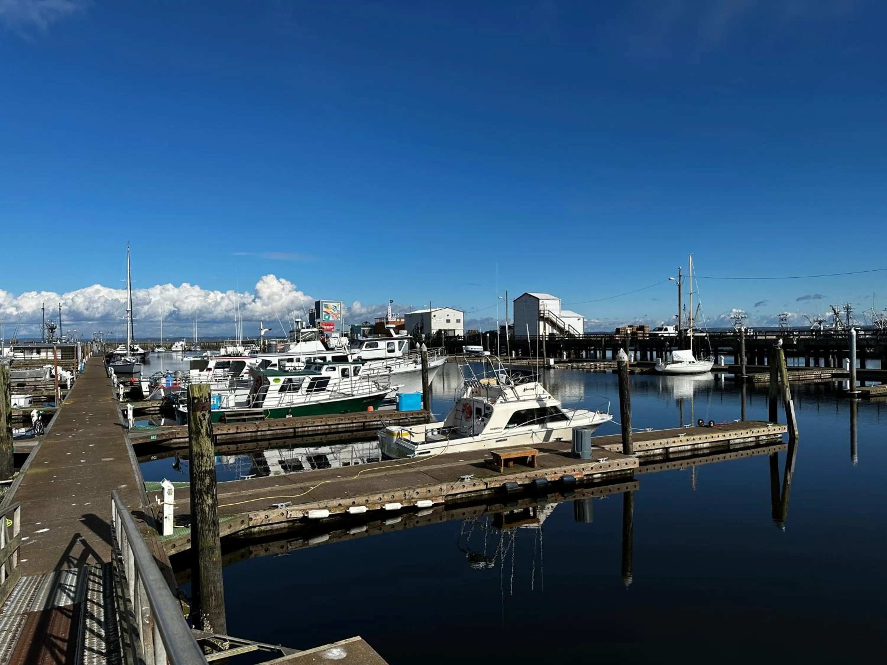 Sea view in Westport Marina Cottages