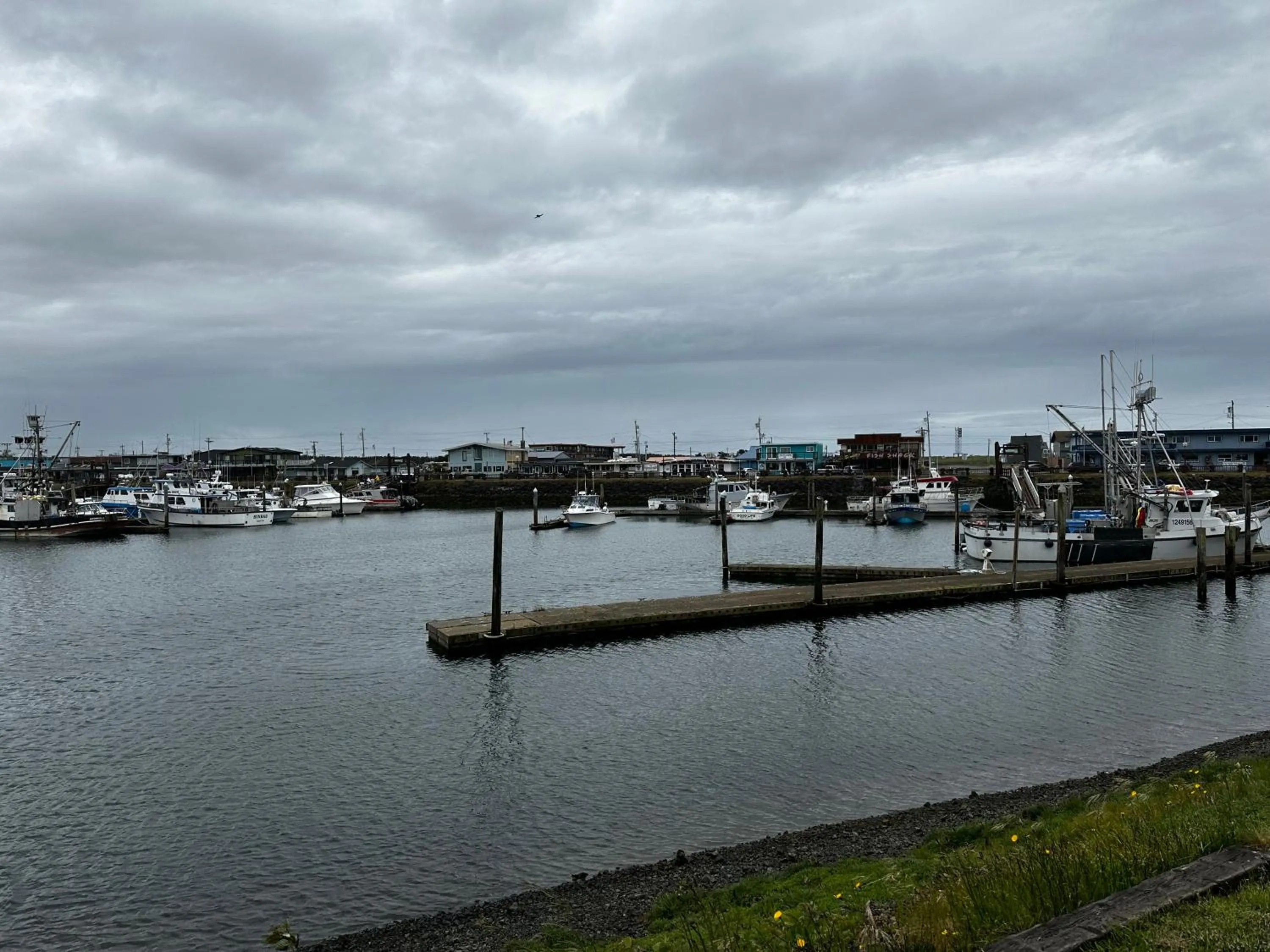 City view in Westport Marina Cottages