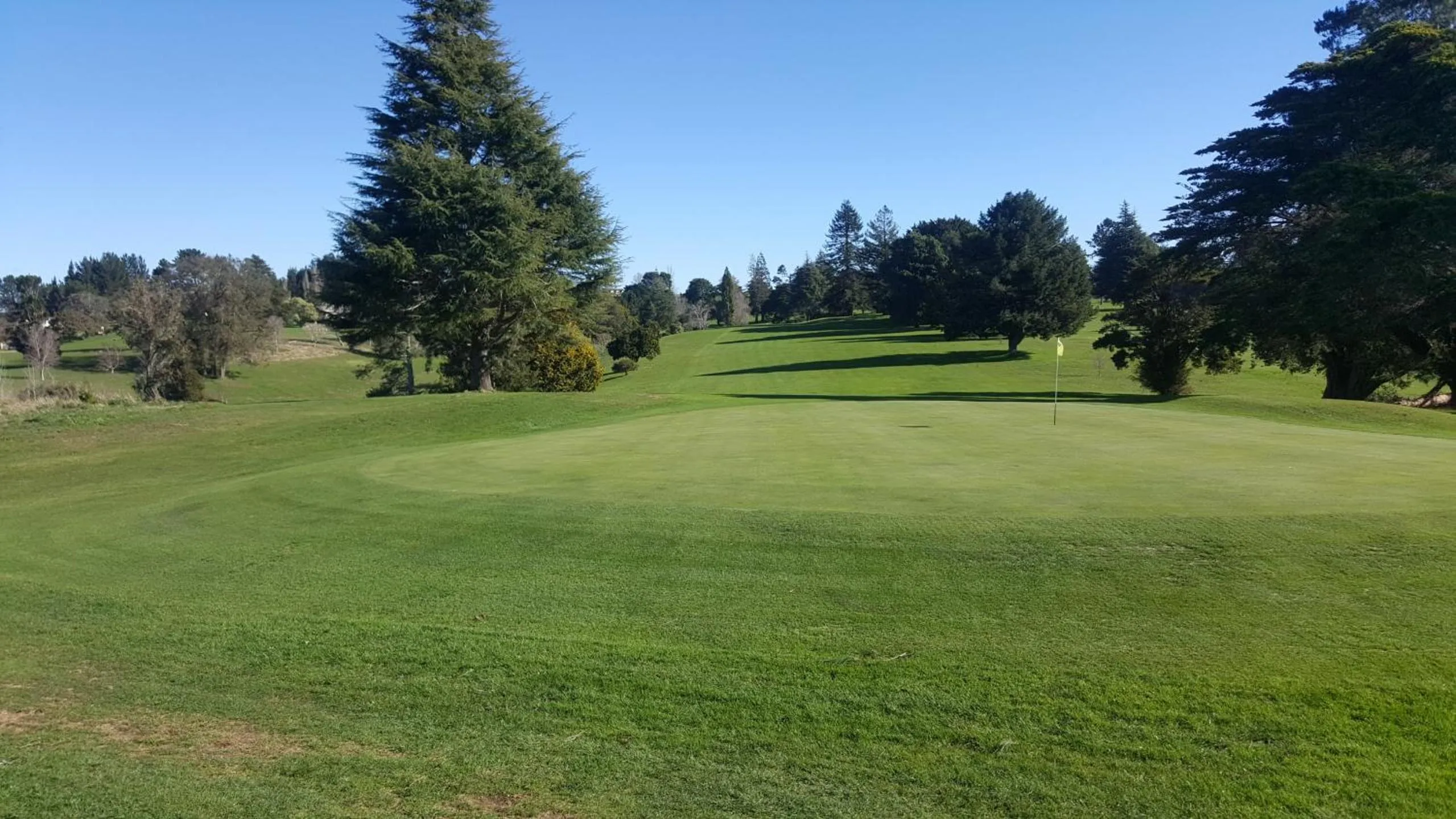 Golfcourse in Waitomo Orchard Estate B&B