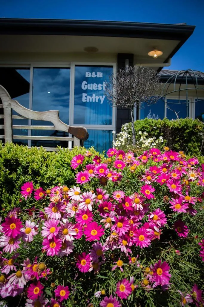 Communal lounge/ TV room in Waitomo Orchard Estate B&B