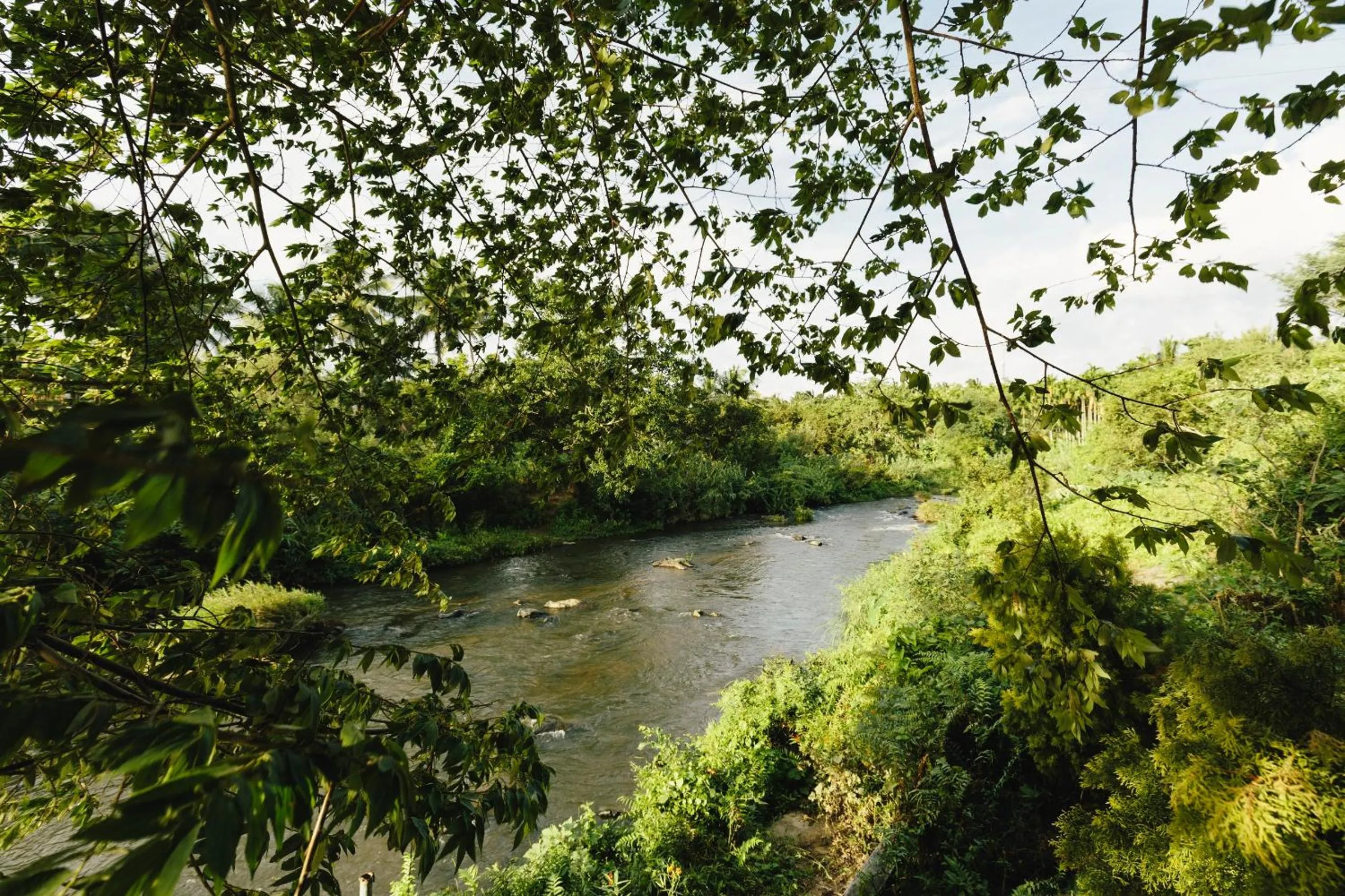 Neighbourhood in Sterling Anaikatti
