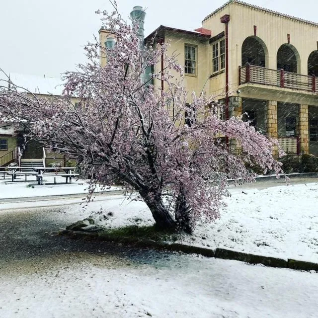 Property building in Gardners Inn Hotel