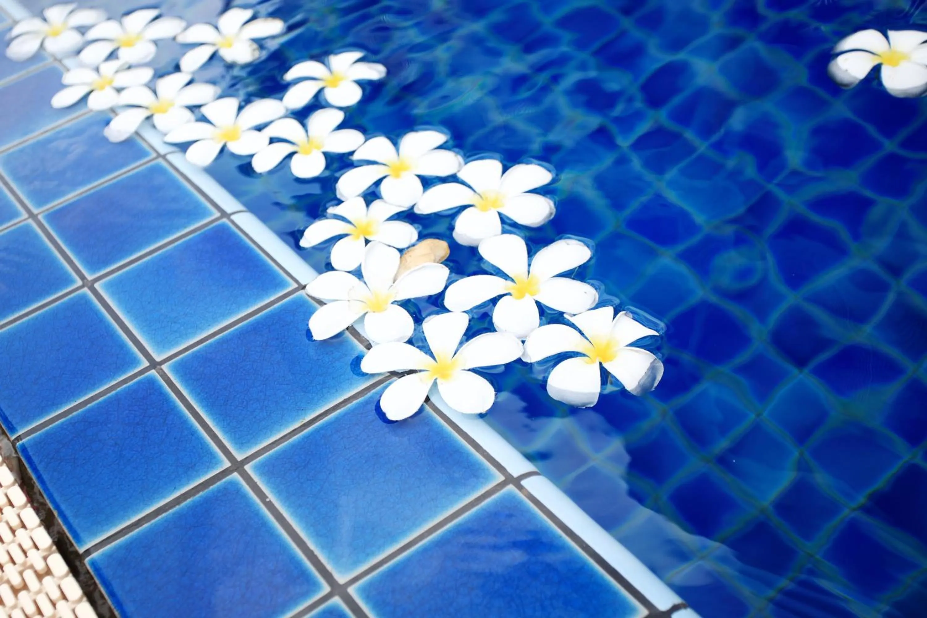 Swimming pool in The Malika Hotel - SHA Extra Plus