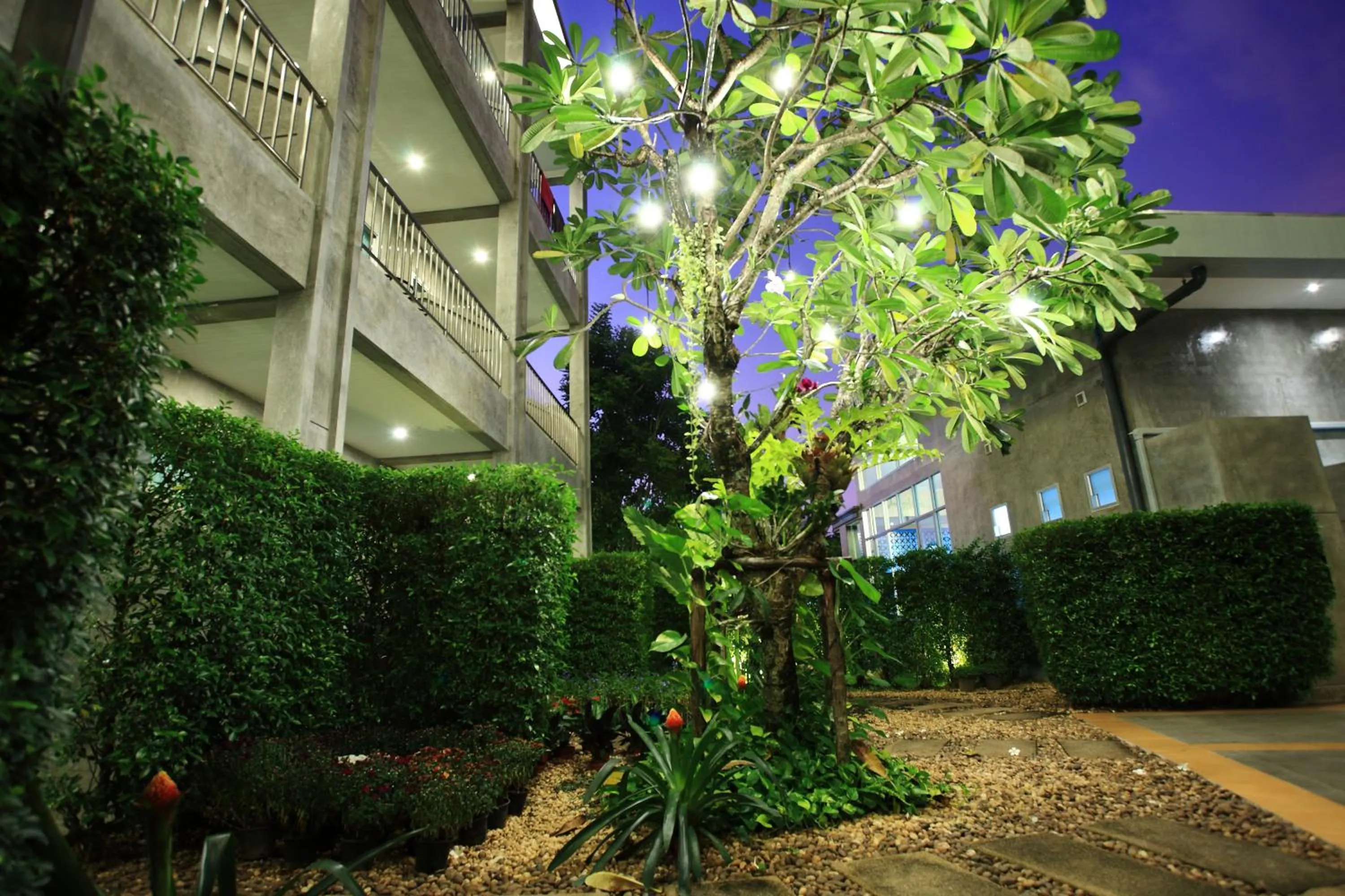 Garden view in The Malika Hotel - SHA Extra Plus