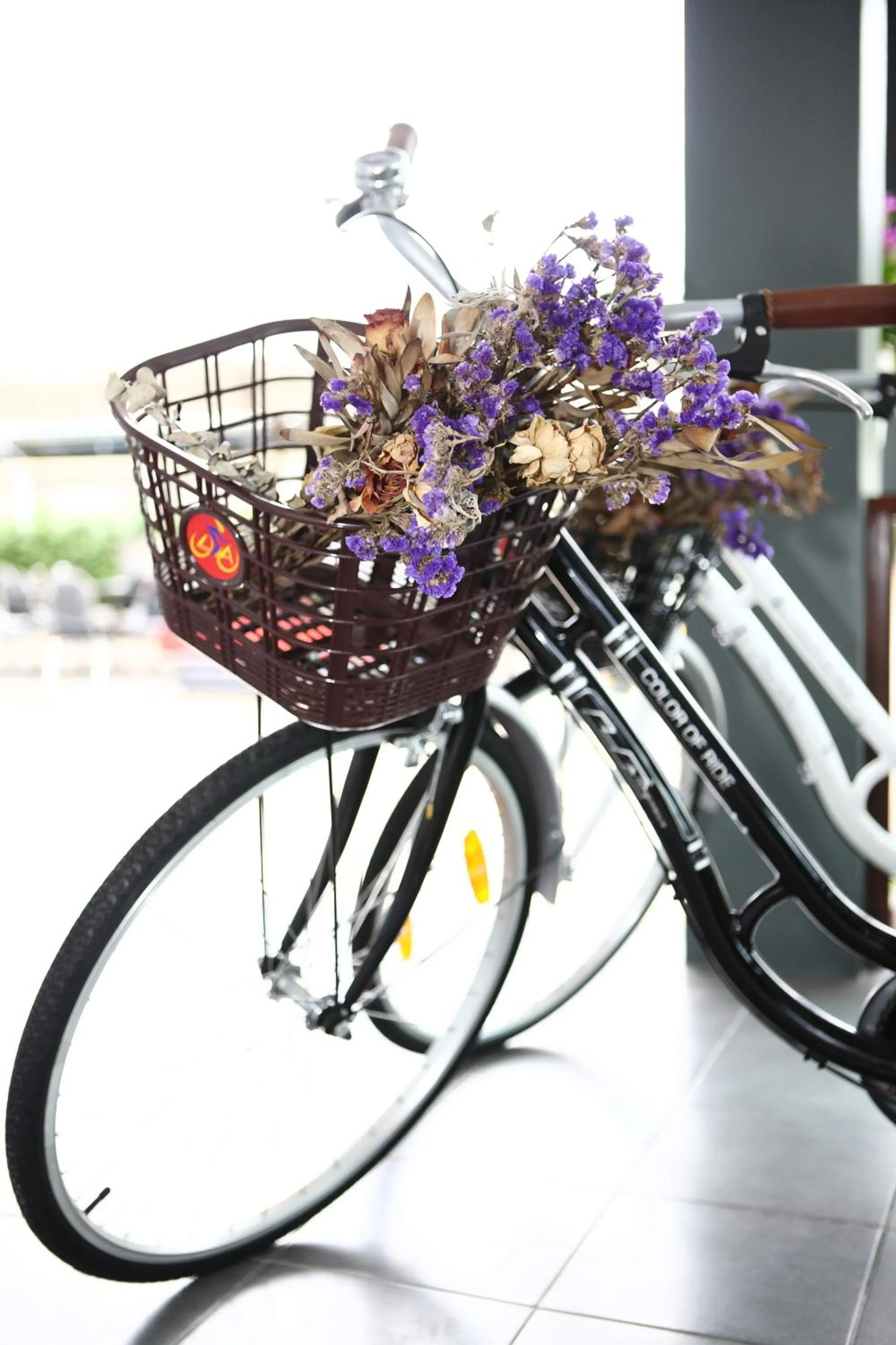 Sports in The Malika Hotel - SHA Extra Plus