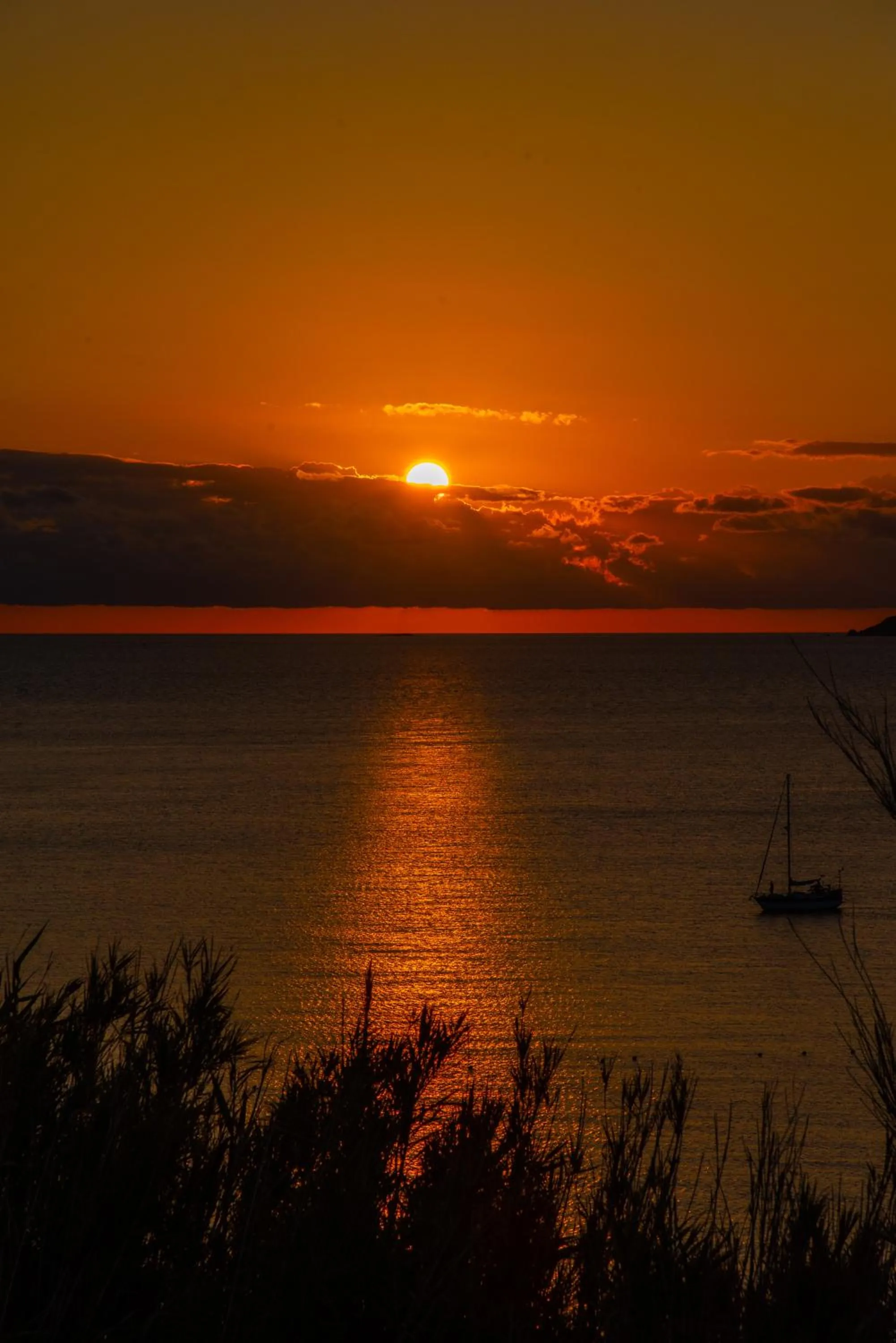 Tereza's Sunset Hotel