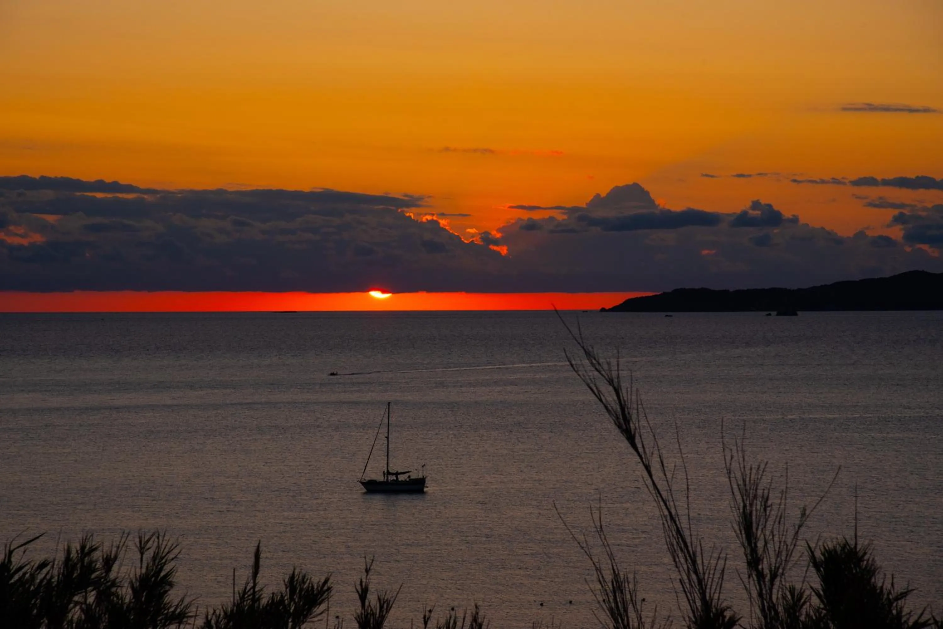 Tereza's Sunset Hotel