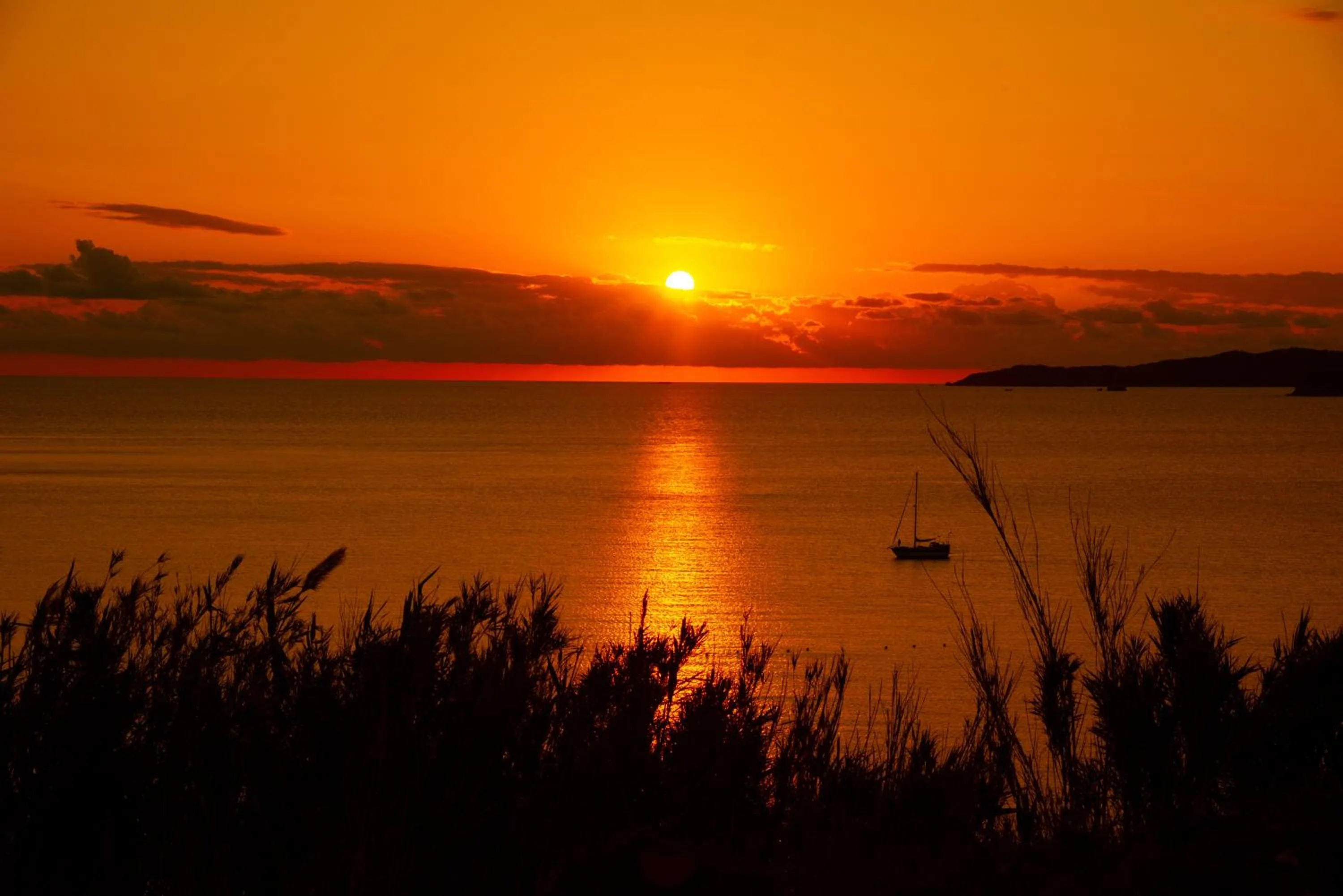 Tereza's Sunset Hotel