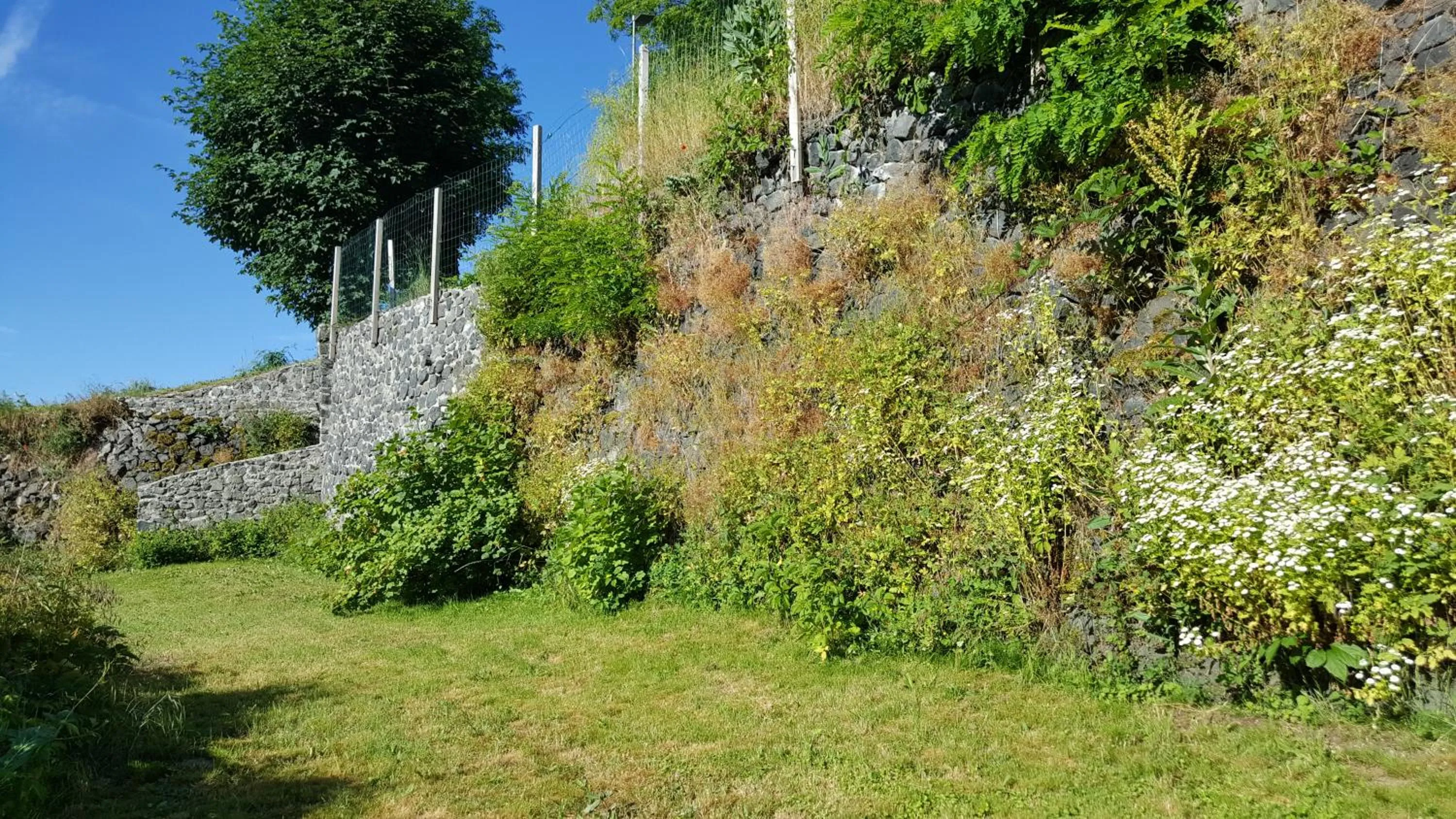 Garden in Relais des castors