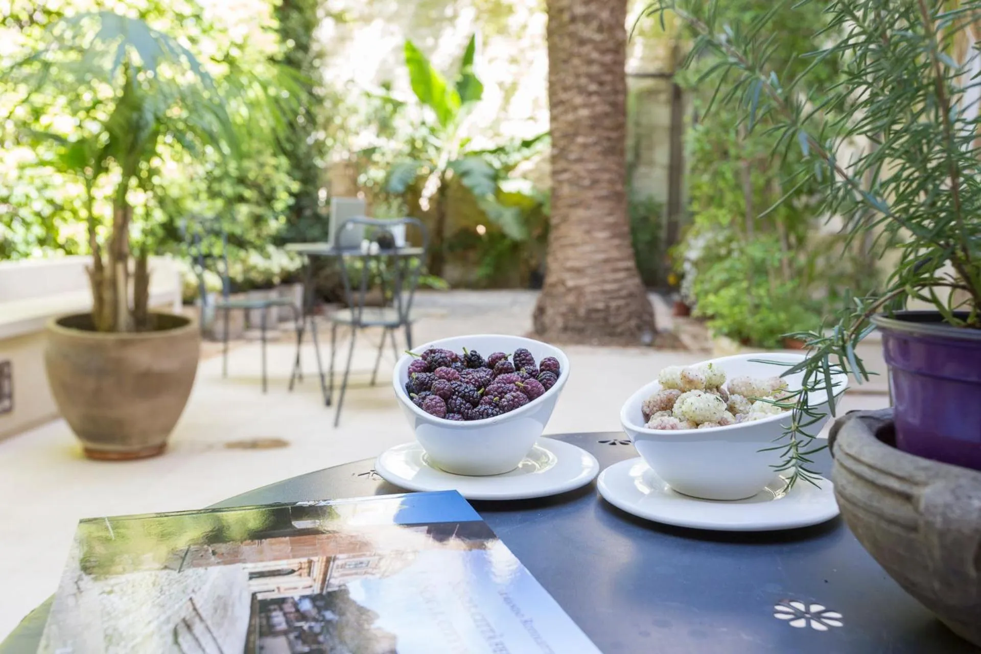 Garden in Hotel Novecento