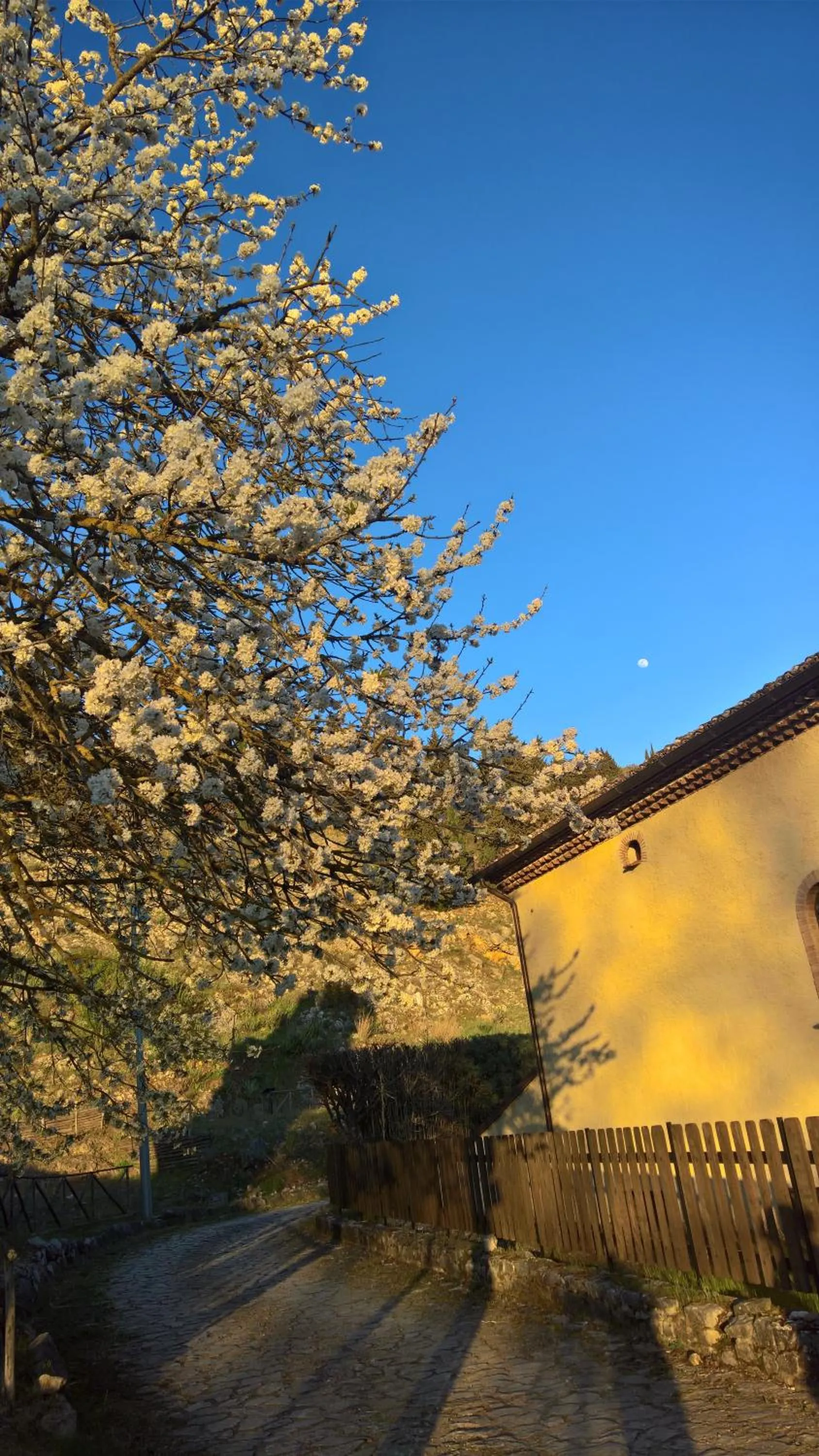 Nearby landmark in Antichi Feudi Dimora D'Epoca