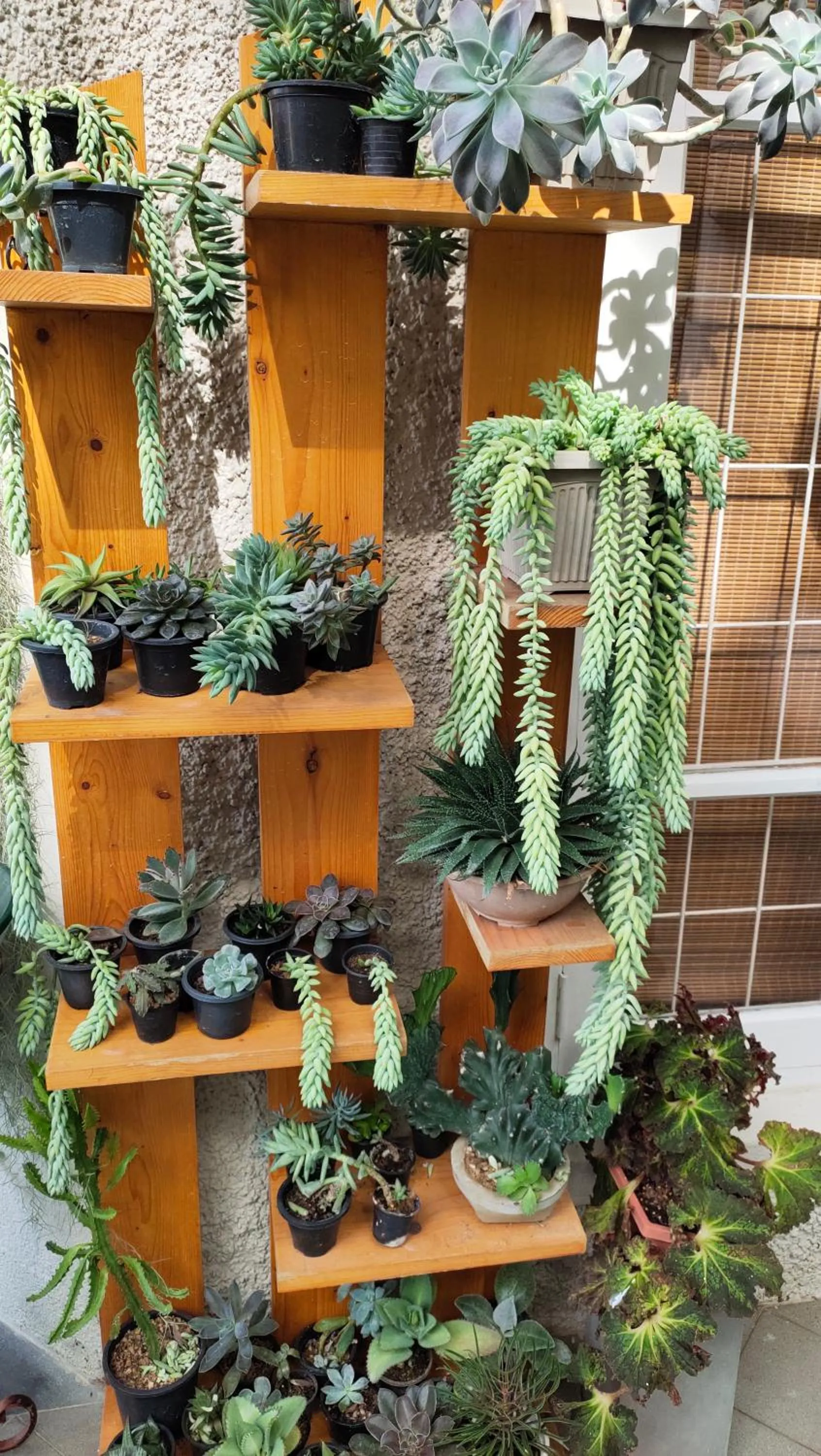 Decorative detail in Marvel Hills Kandy