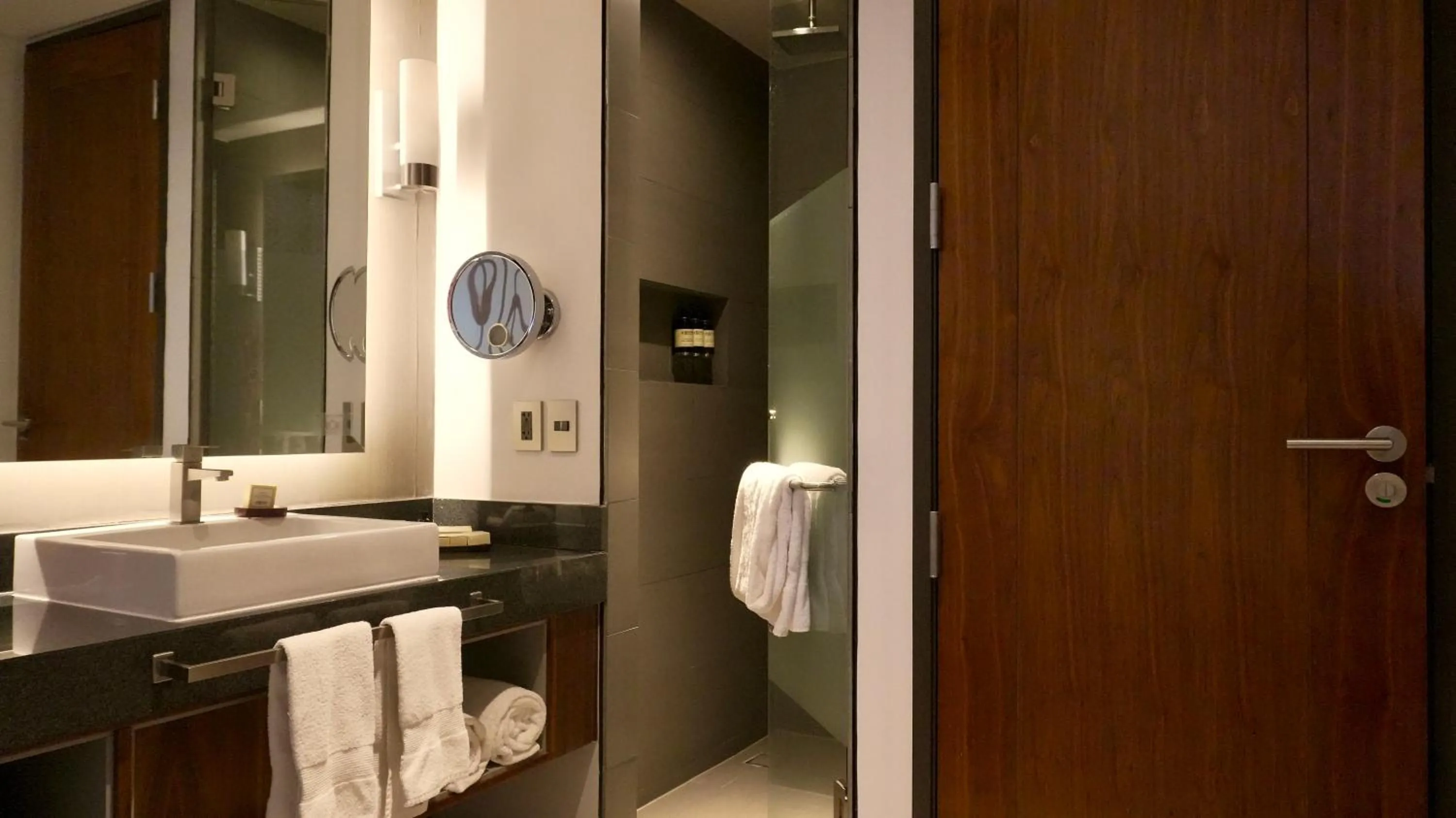 Fiesta Americana Mexico Toreo