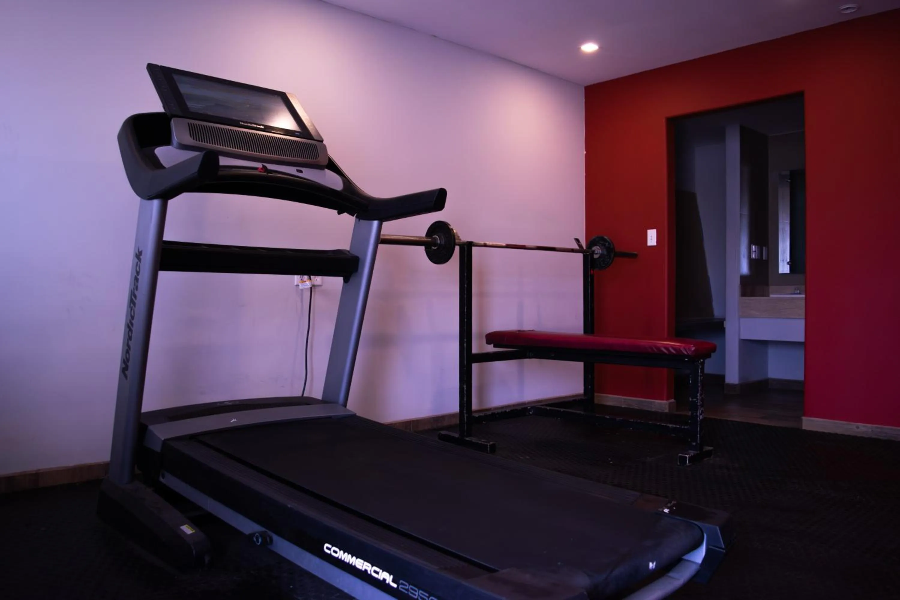 Fitness centre/facilities in Apple Inn