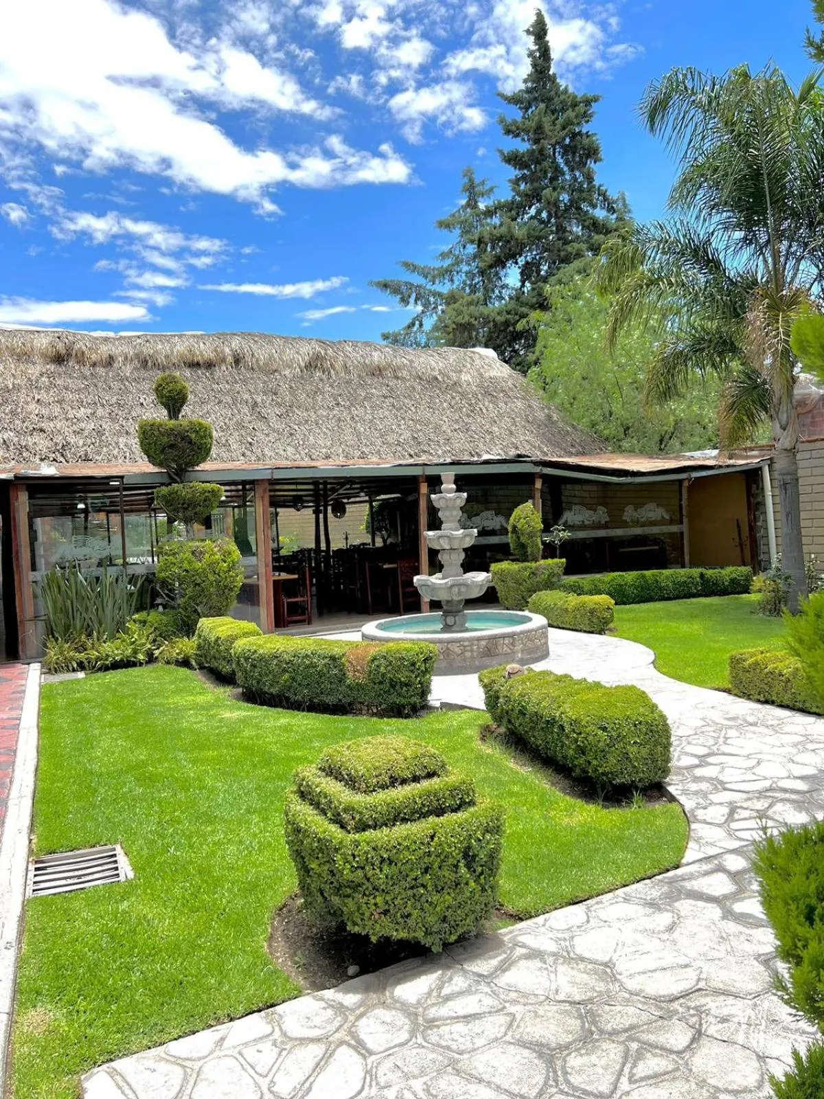Garden in Hotel El Jaguar