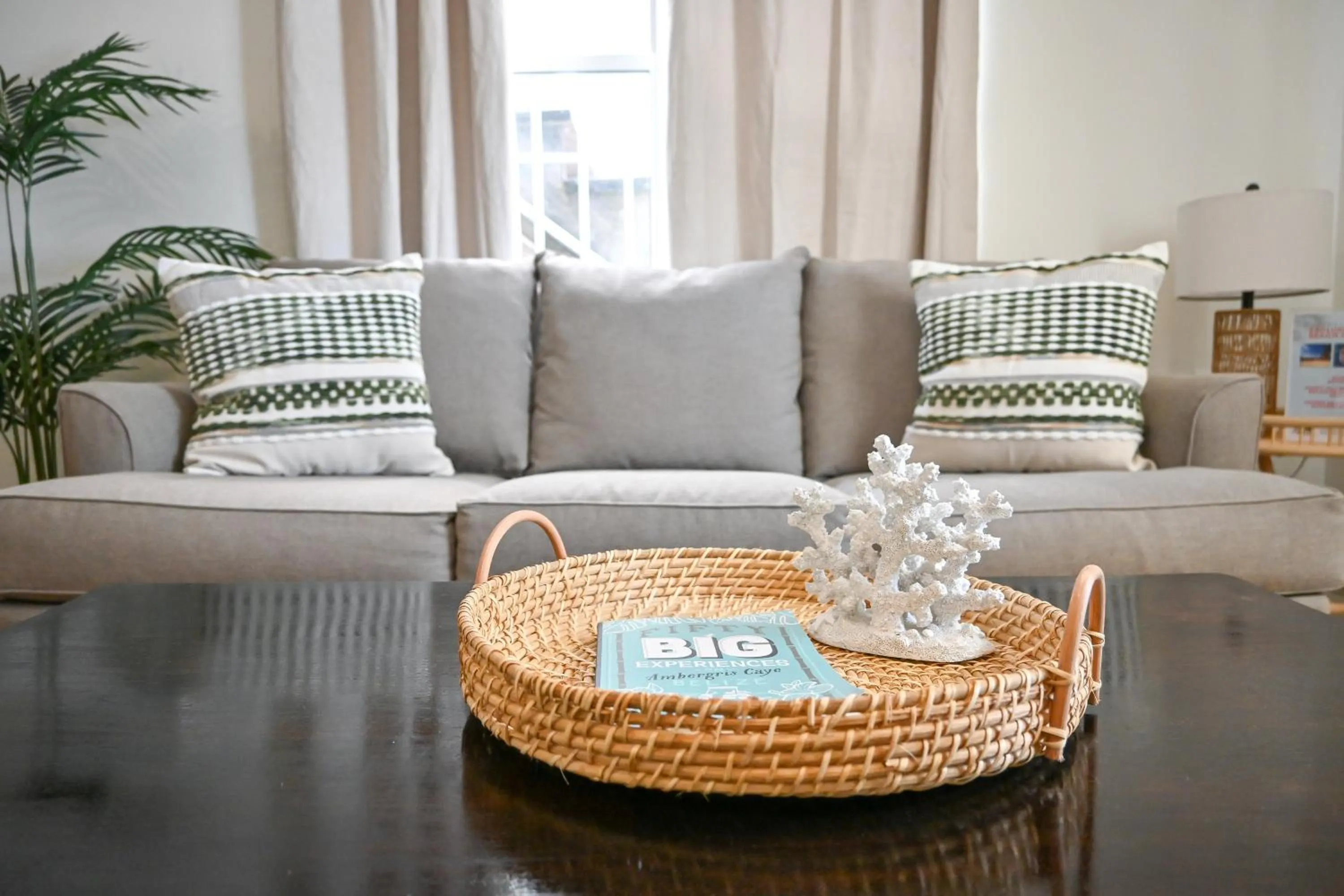Living room in The Palapa House