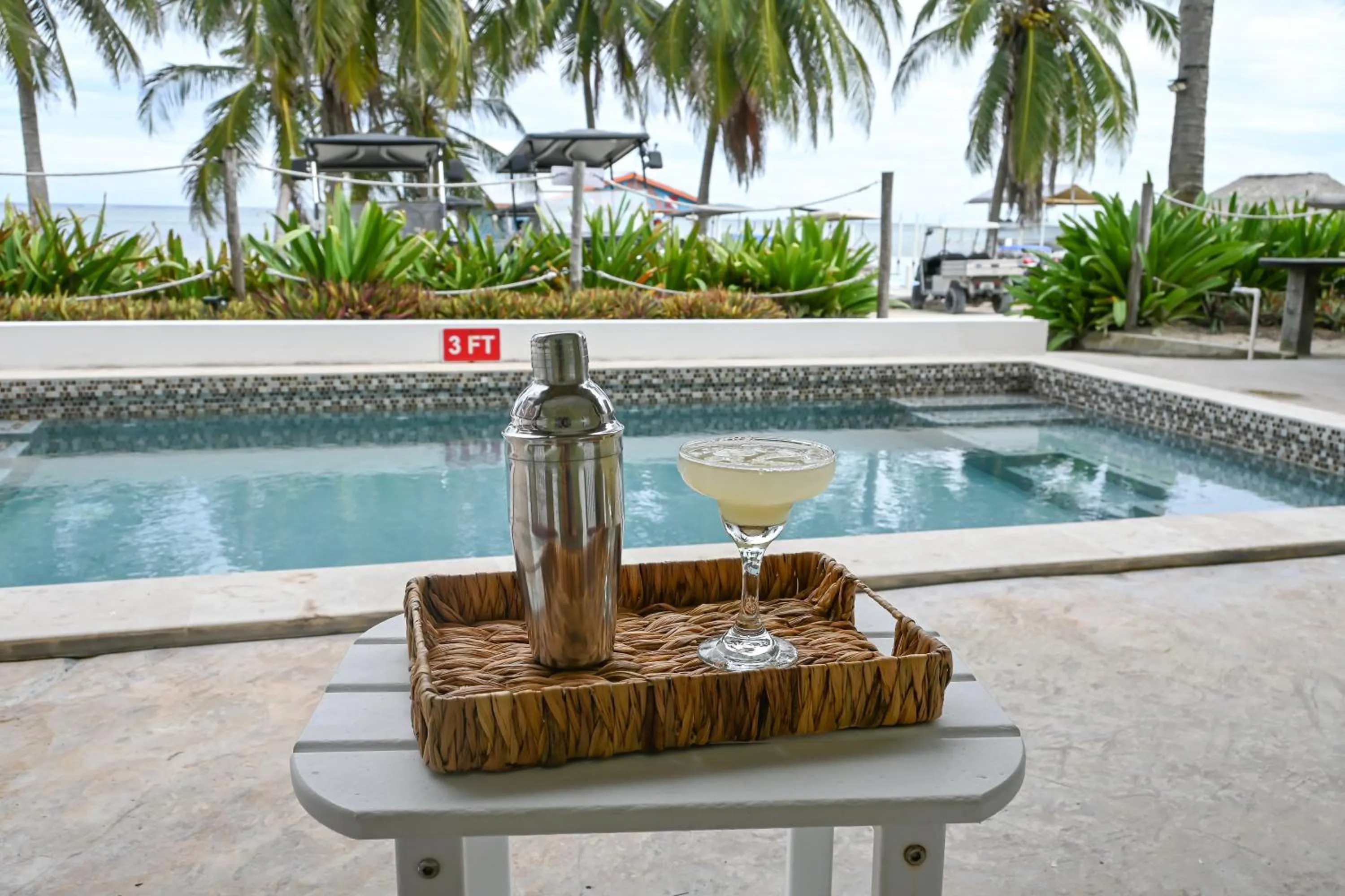 Pool view in The Palapa House