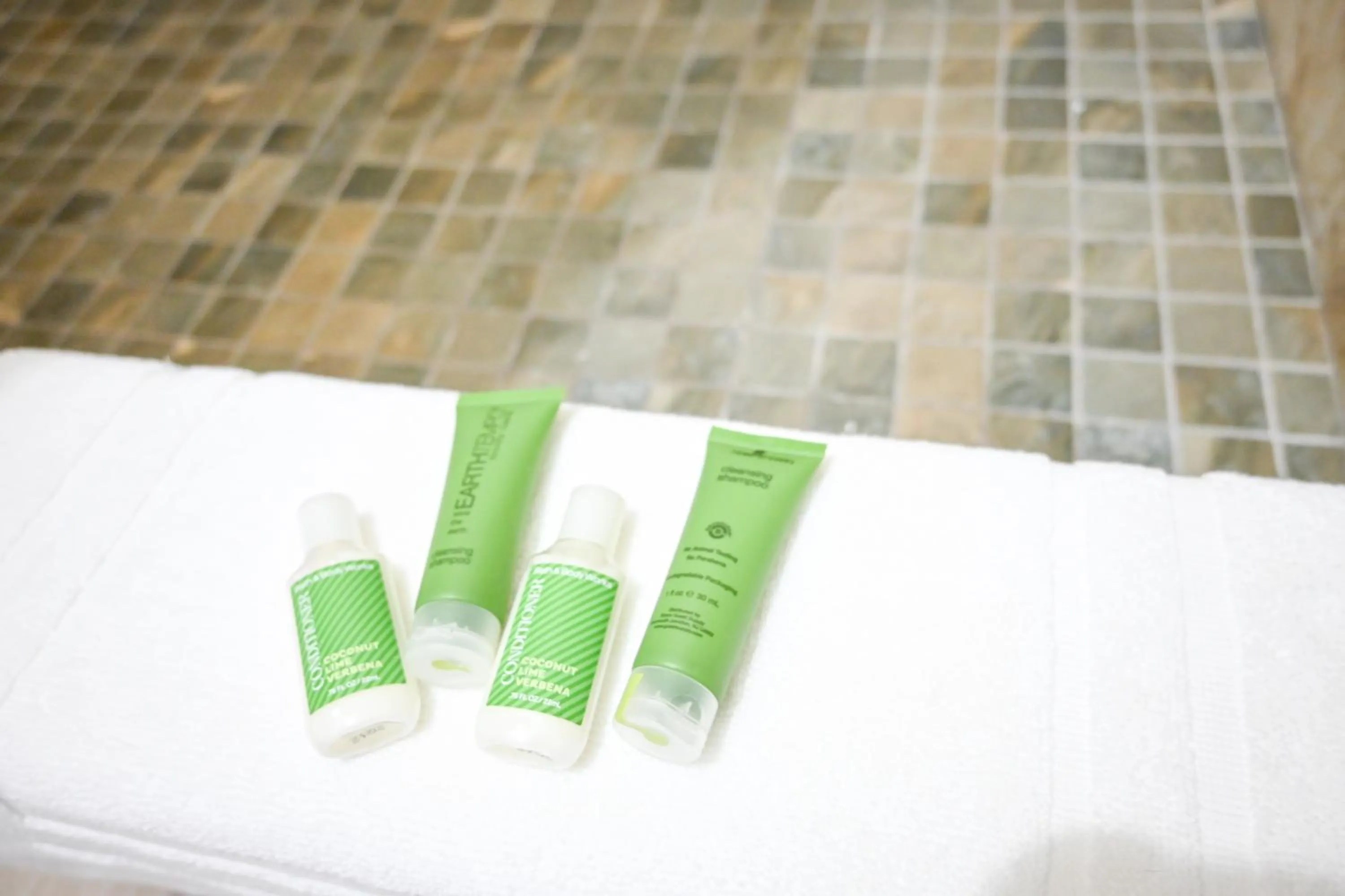 Bathroom in The Palapa House