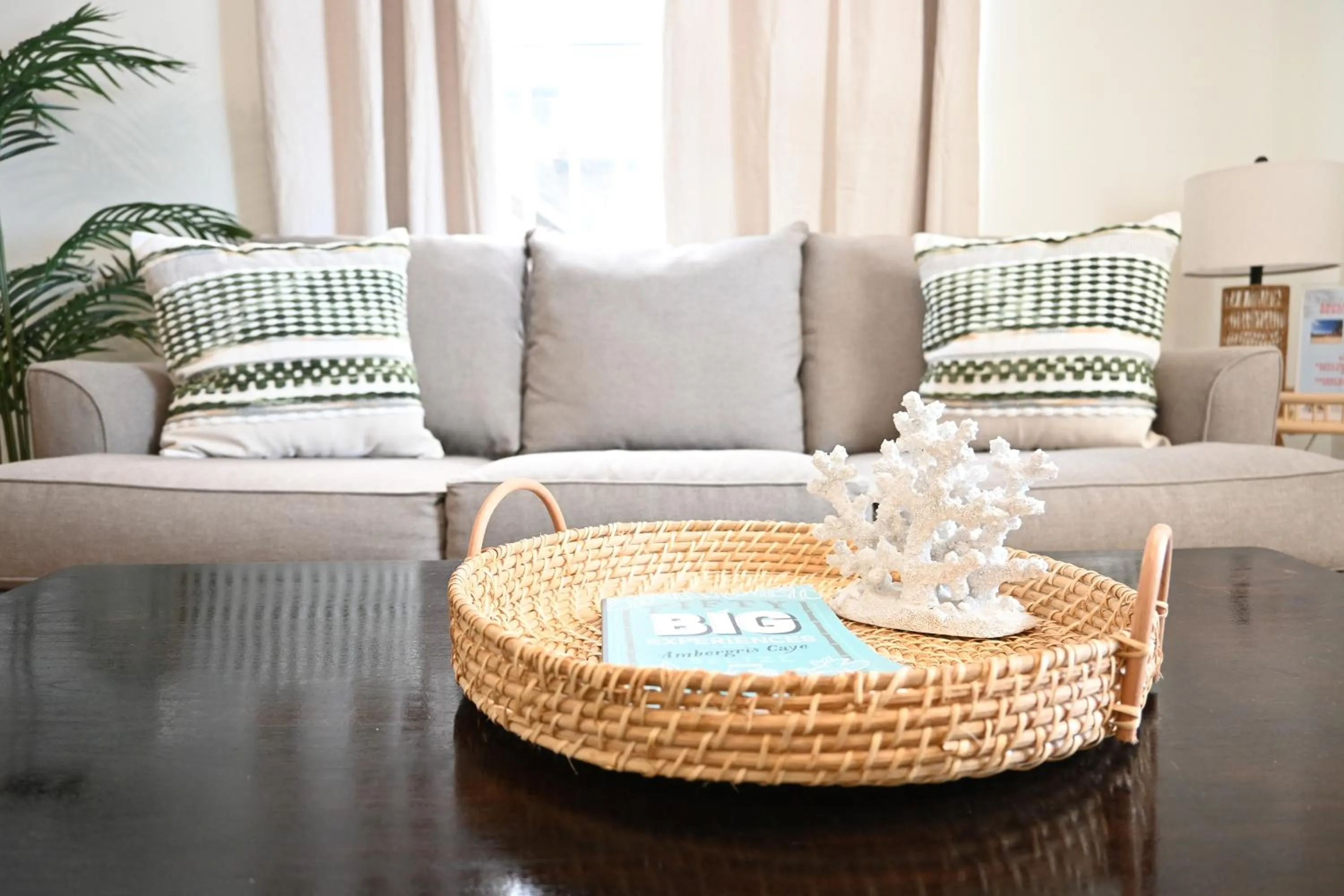 Living room in The Palapa House