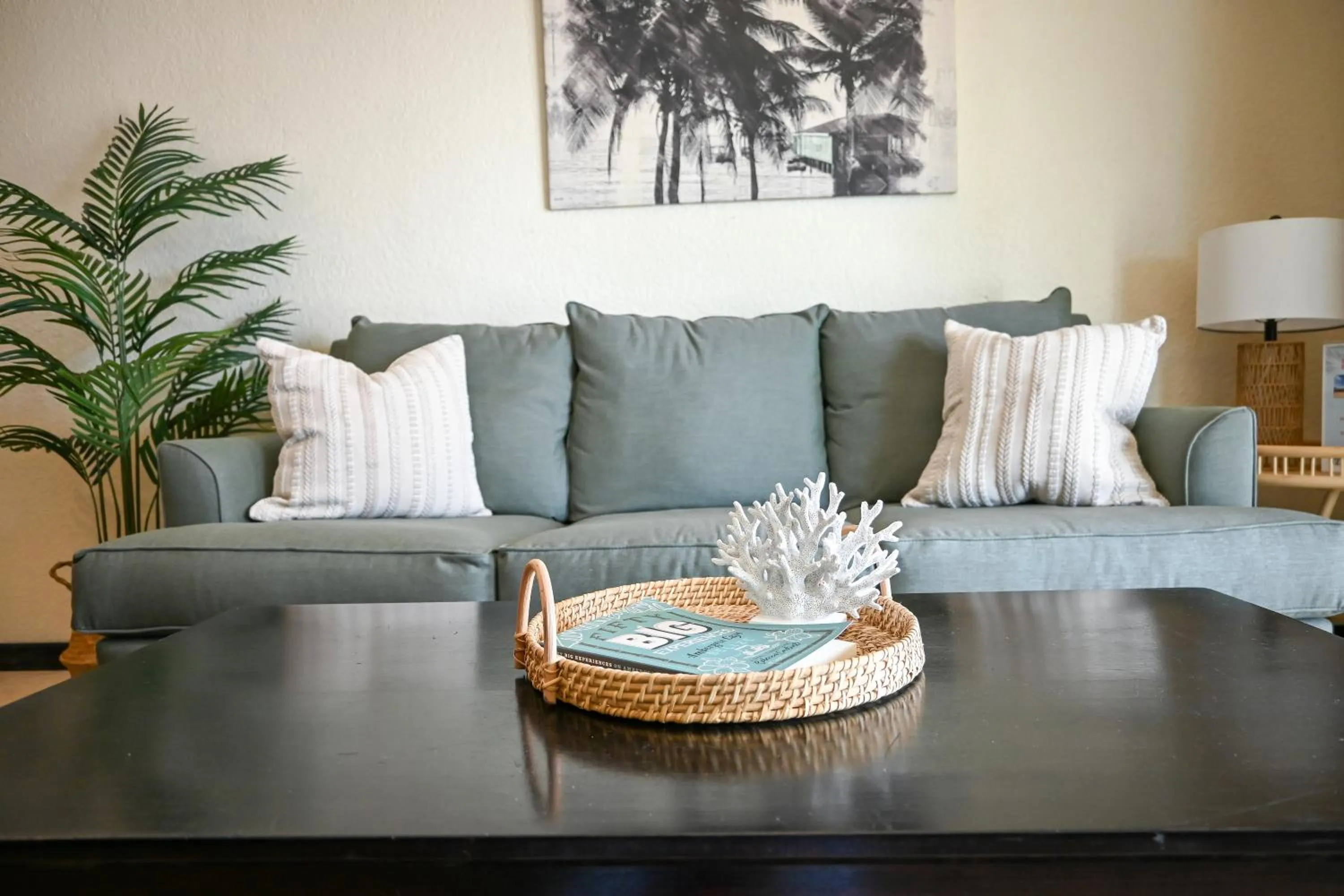Living room in The Palapa House