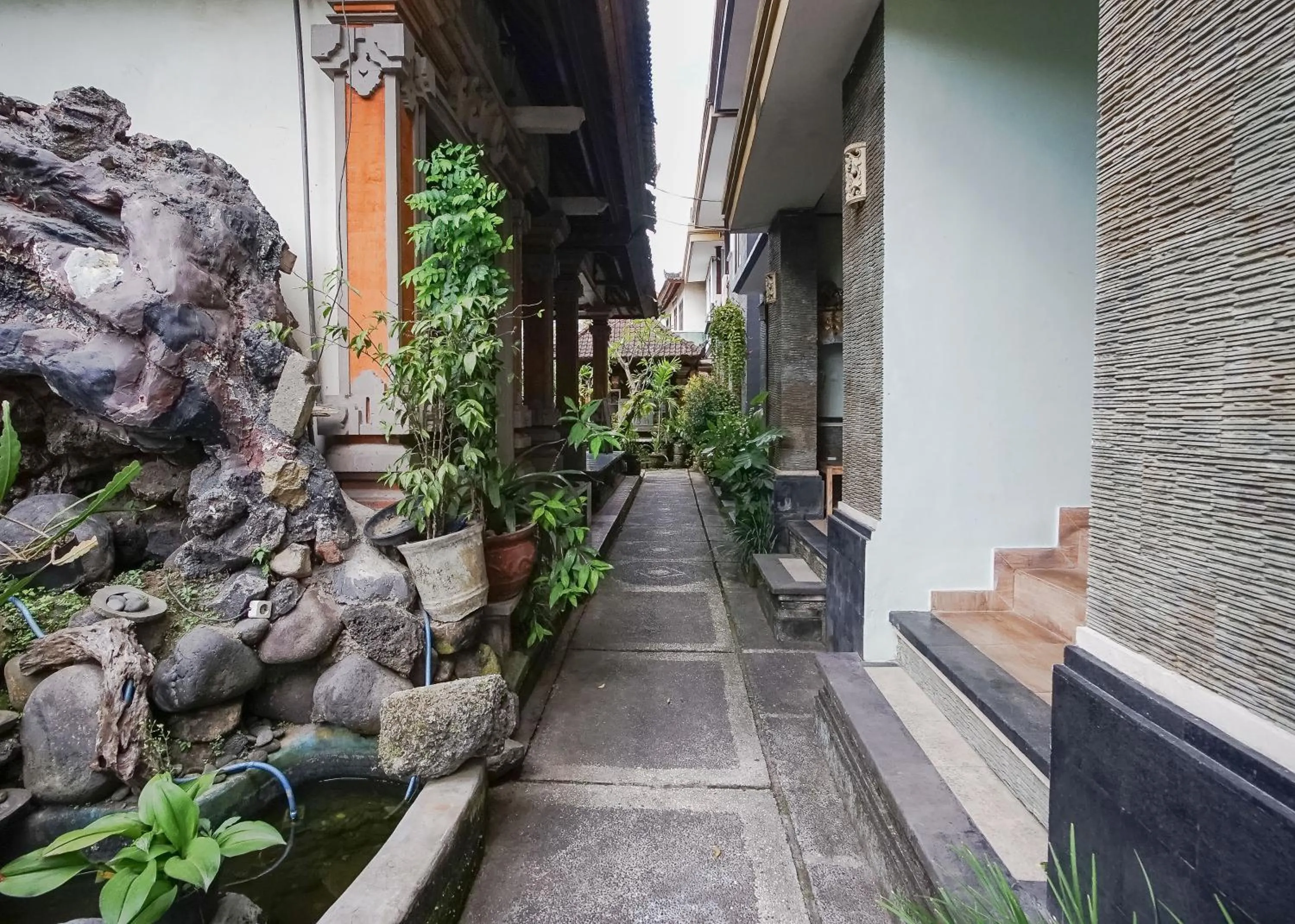 Day in Aurora House Ubud