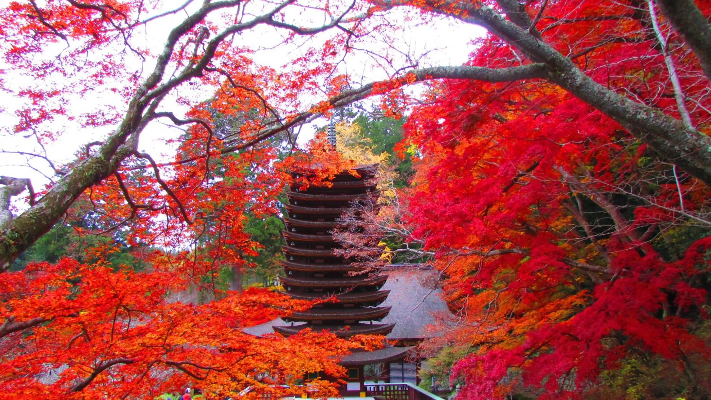 Nearby landmark in Bakery Hotel Chateau D'or
