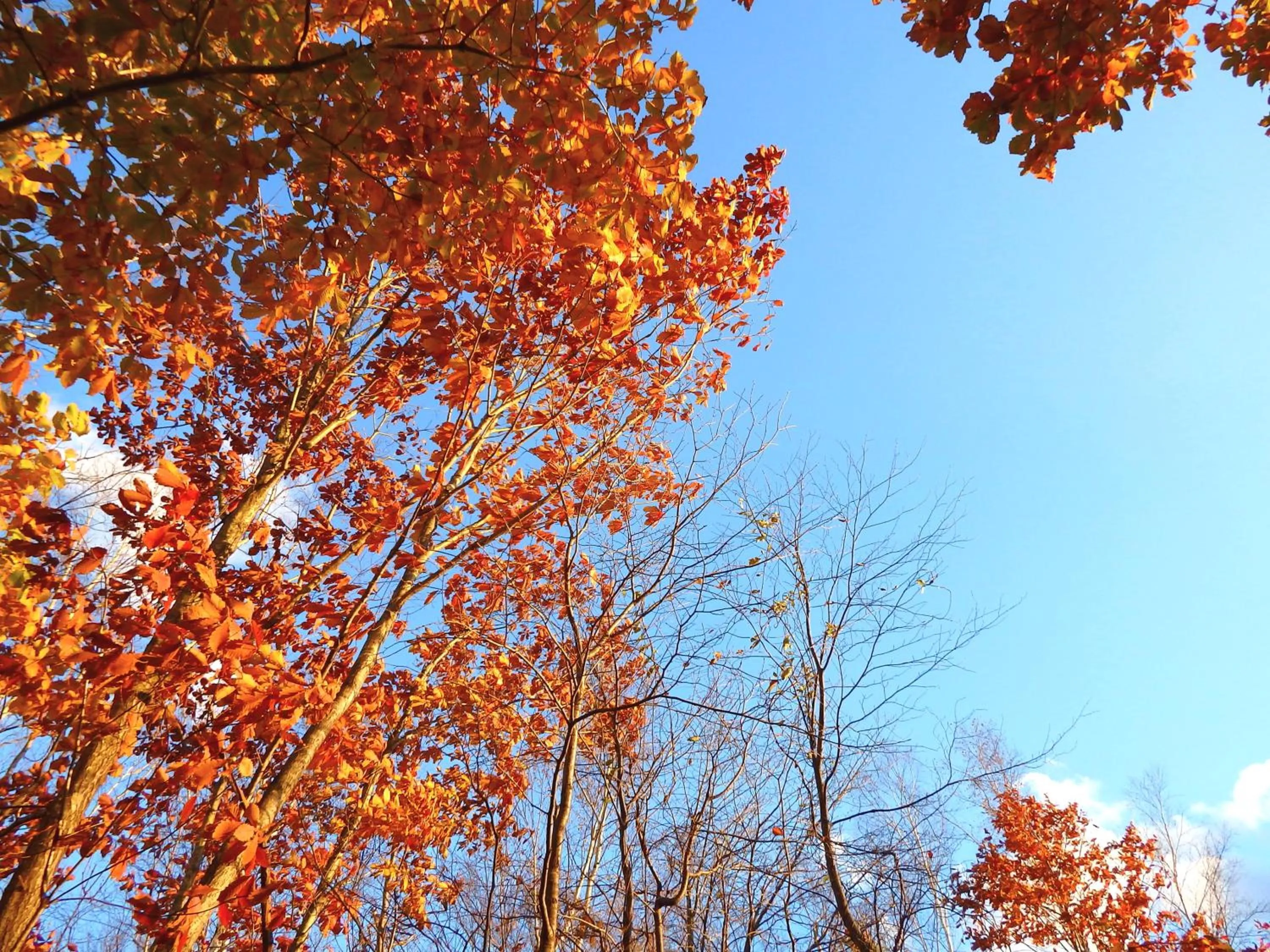 Natural landscape in Tensui Saryo