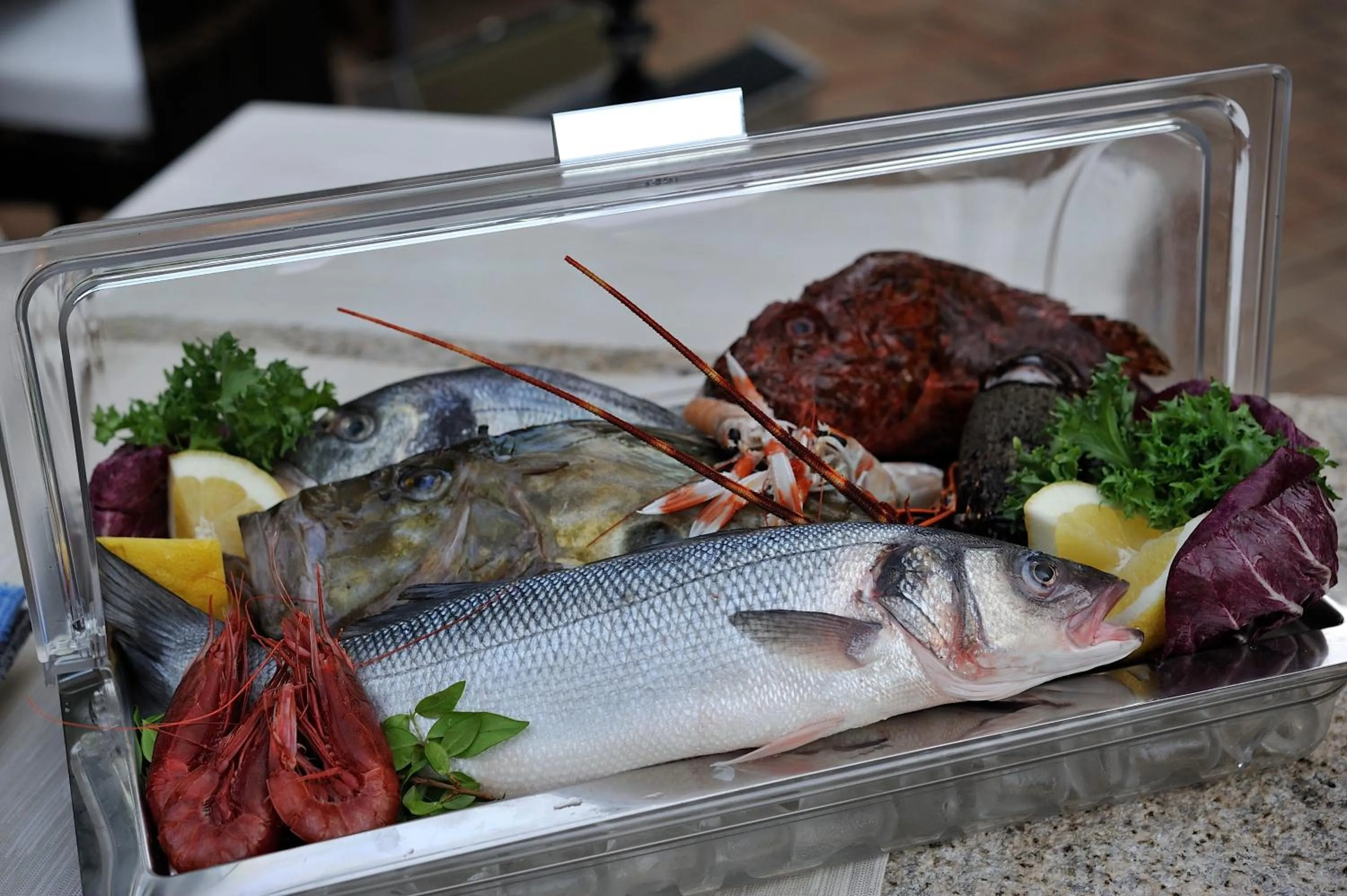 Restaurant/places to eat in Nascar Hotel