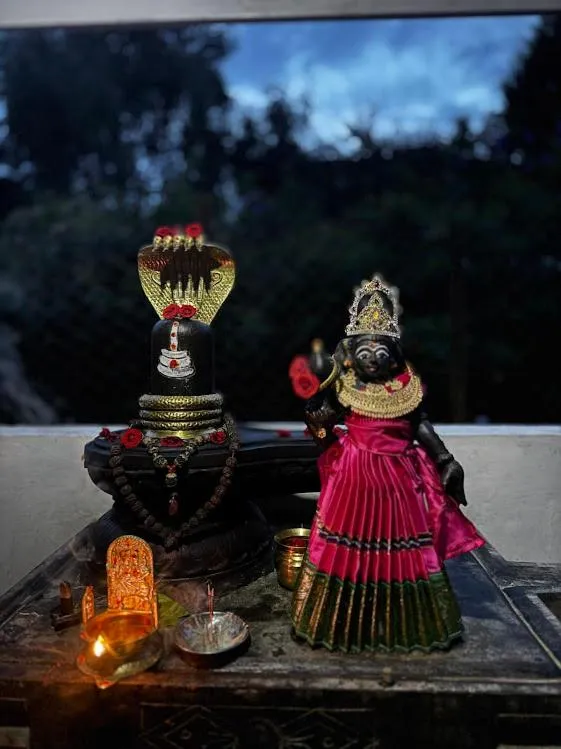 Satya Anand Cottage Pure Veg and Non Alcoholic Hotel