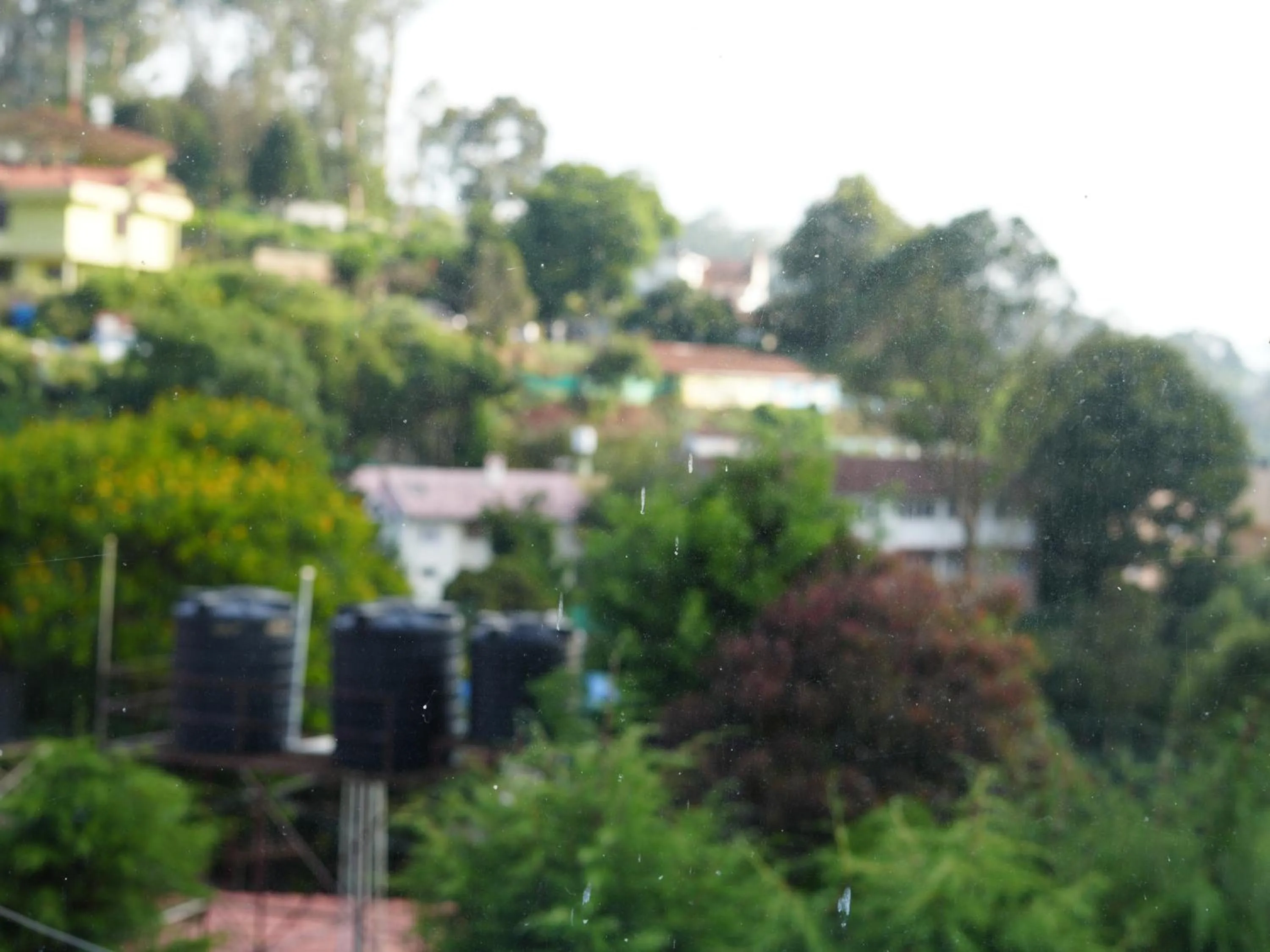 Satya Anand Cottage Pure Veg and Non Alcoholic Hotel