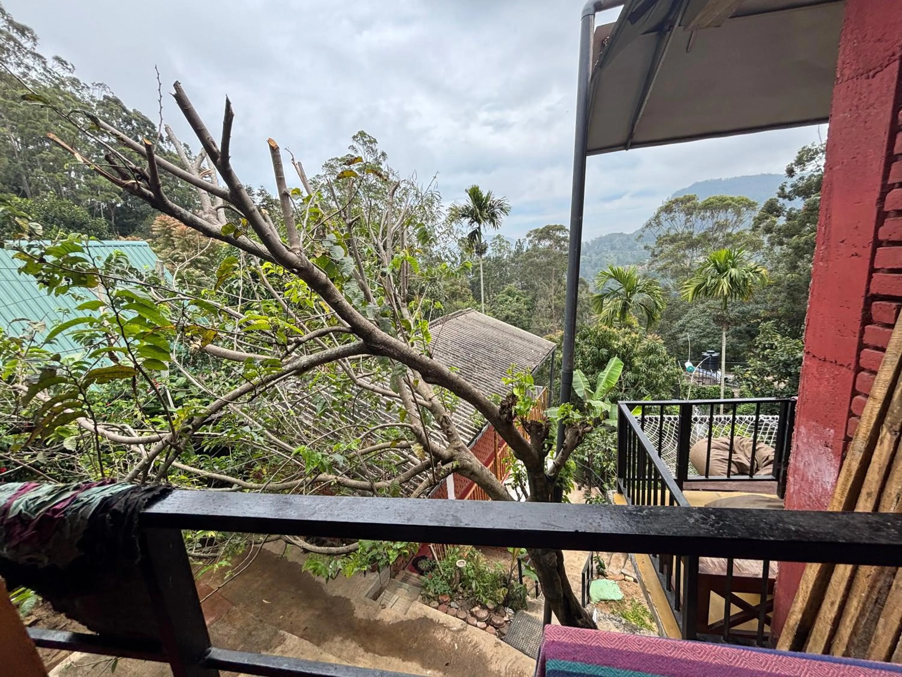 View (from property/room) in Ella New Green View