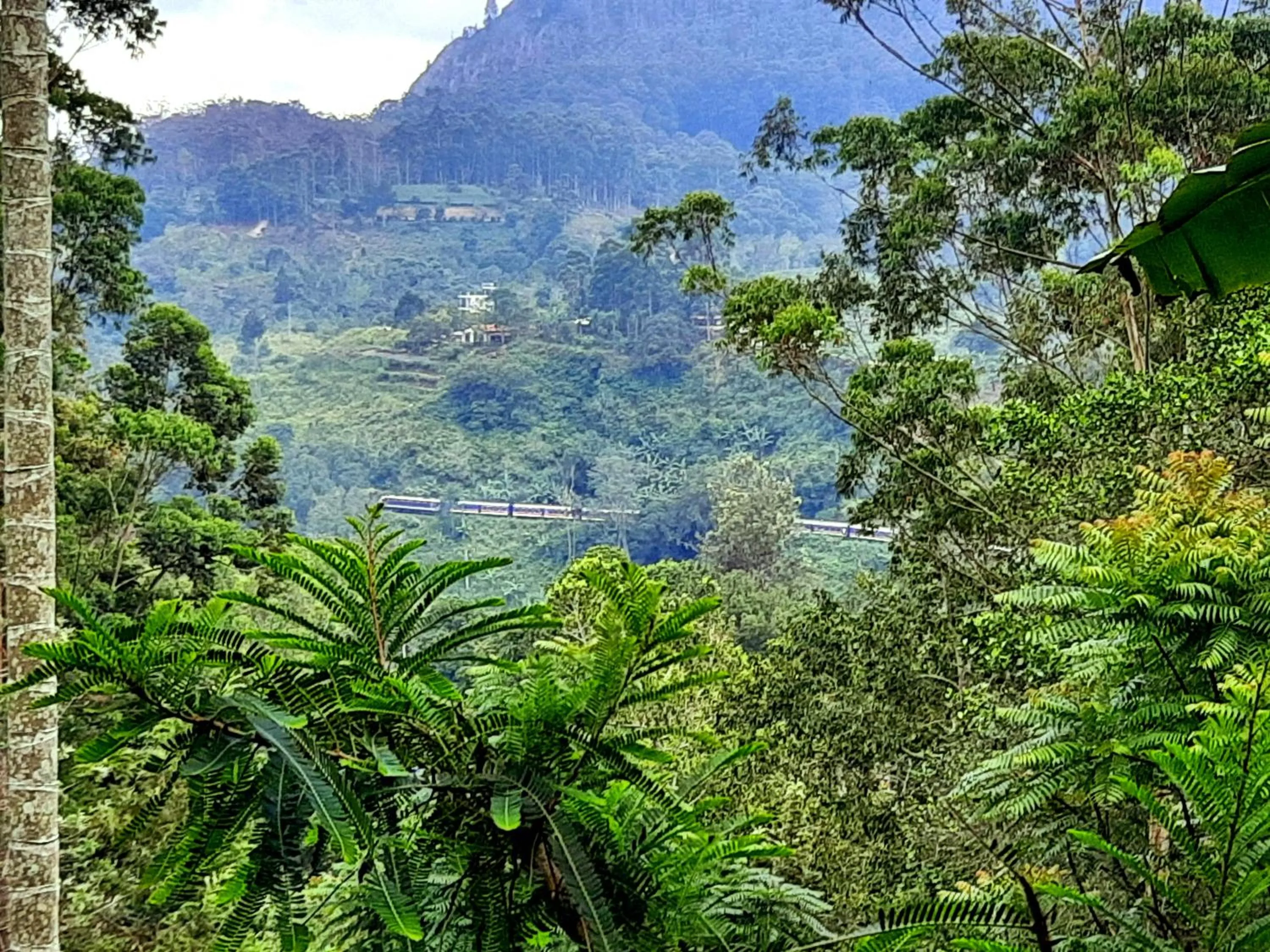 Mountain view in Ella New Green View