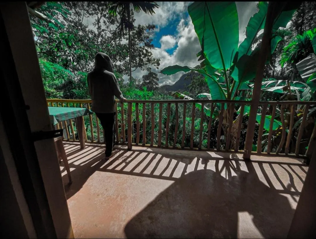 Mountain view in Ella New Green View