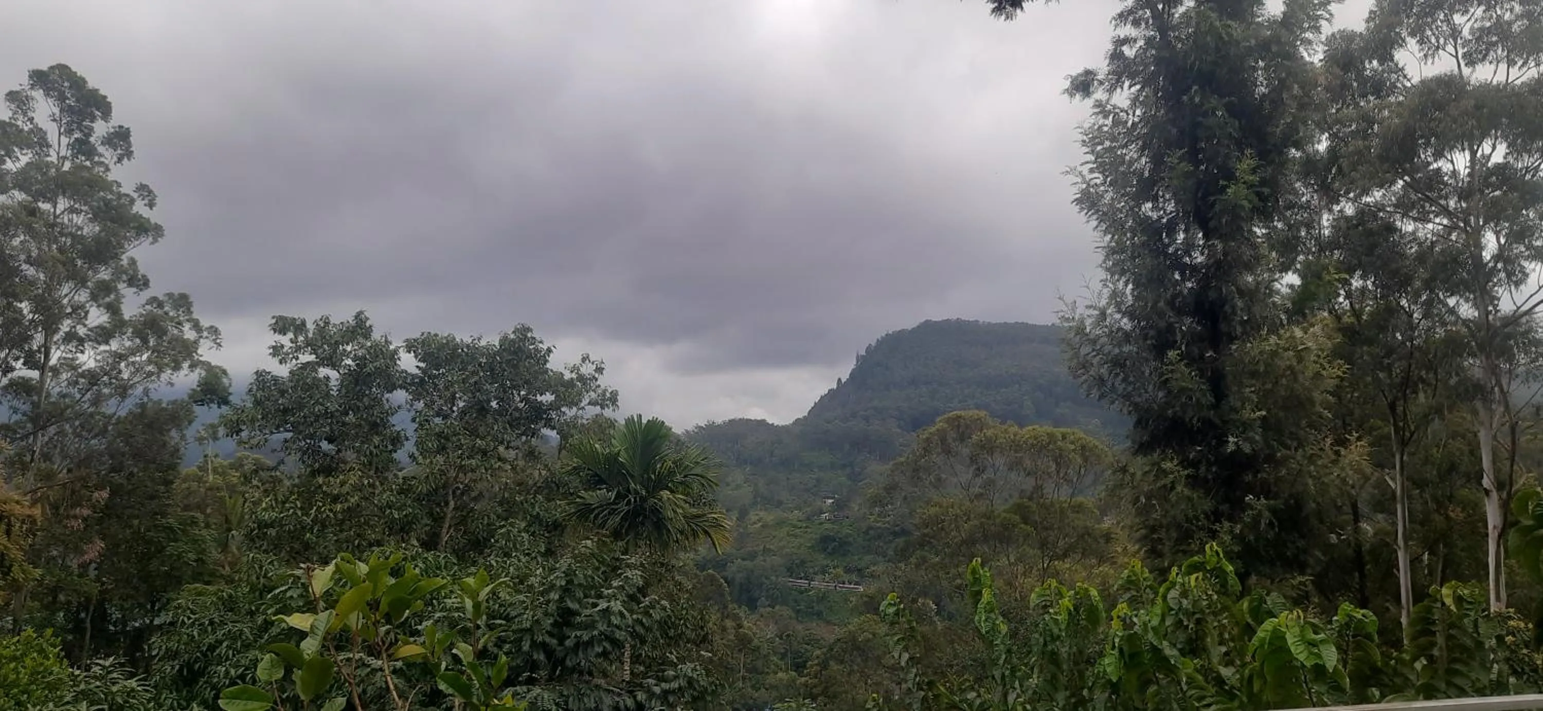 Day in Ella New Green View