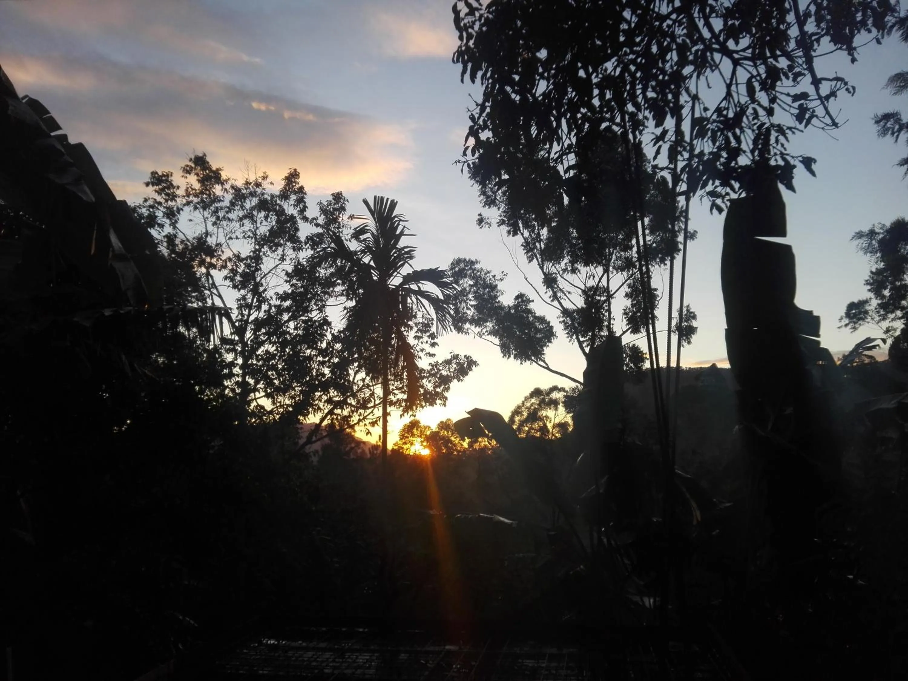 Mountain view in Ella New Green View