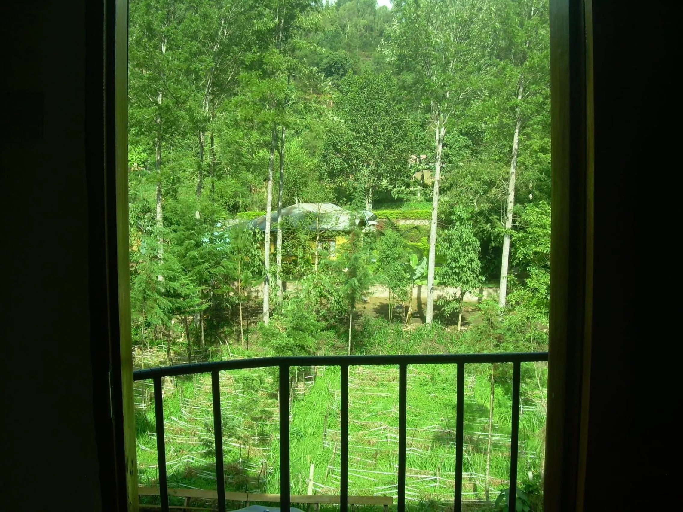 Garden in Kakakuona Resort